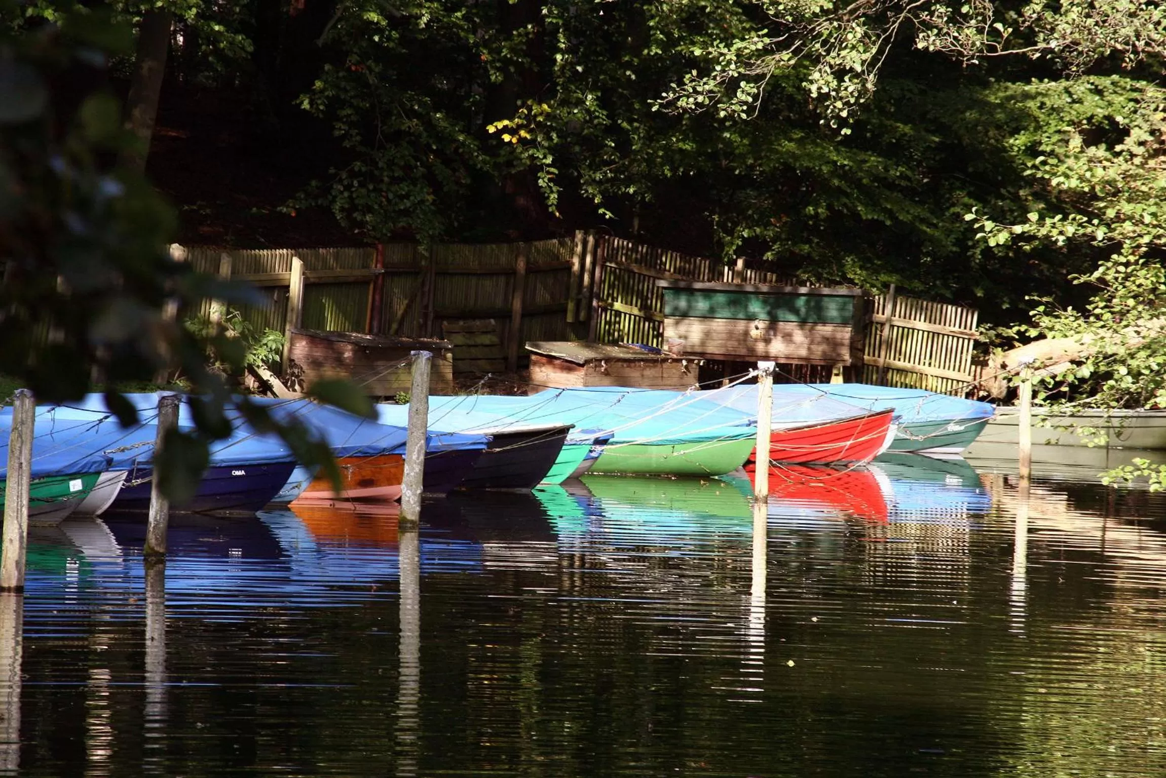 Area and facilities in Hotel Waldhalle