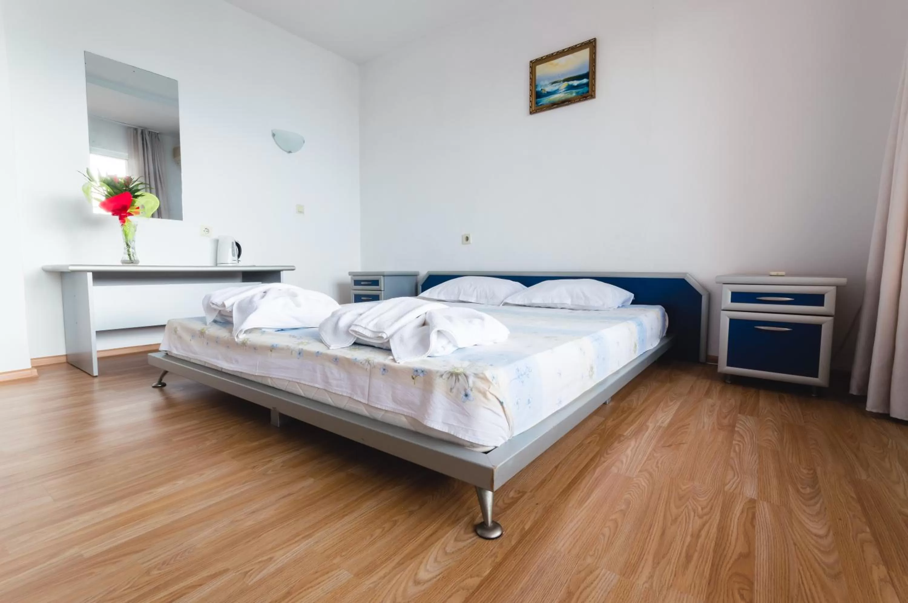 Photo of the whole room in Plovdiv Hotel