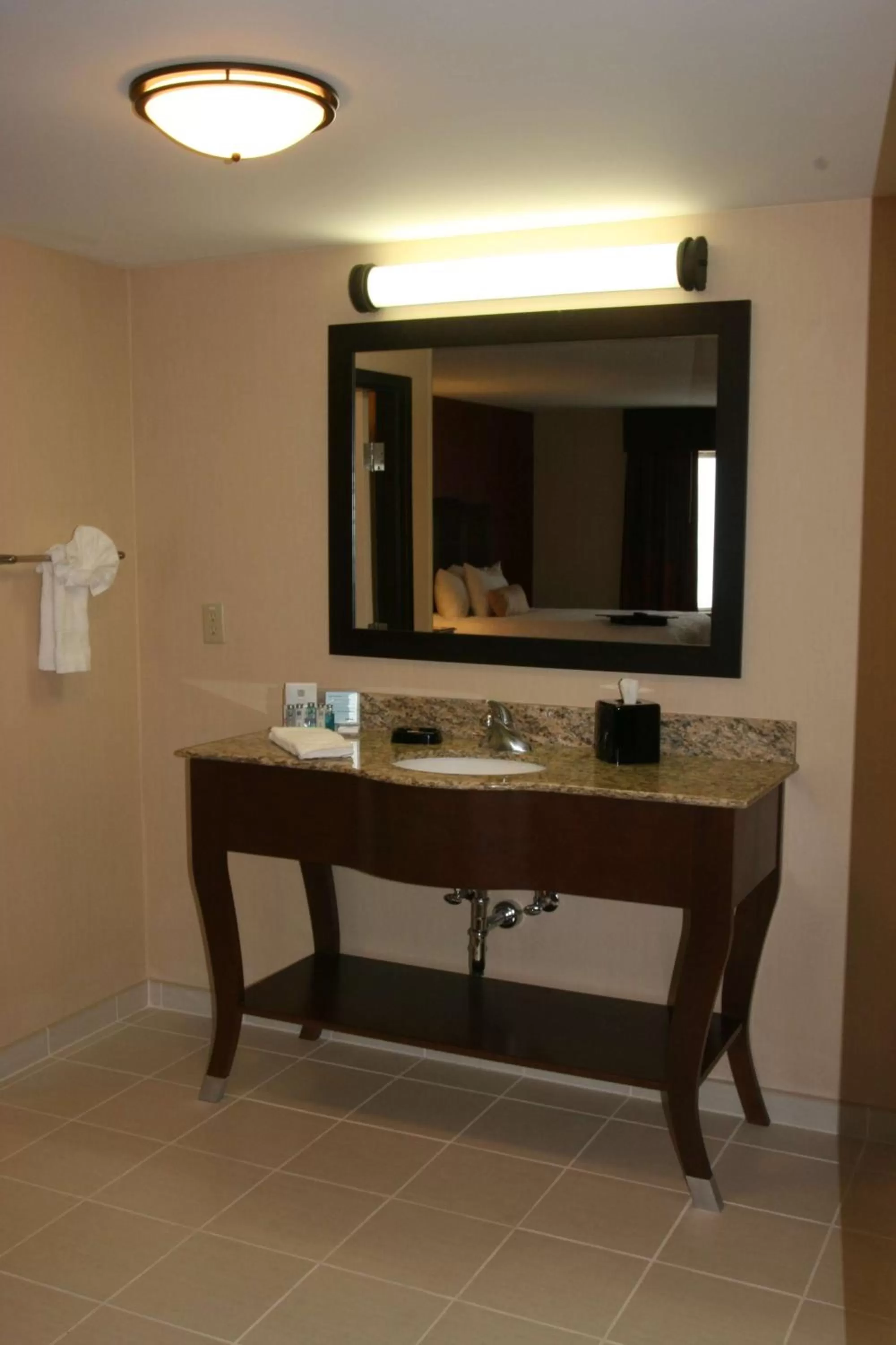 Bathroom in Hampton Inn and Suites Peru