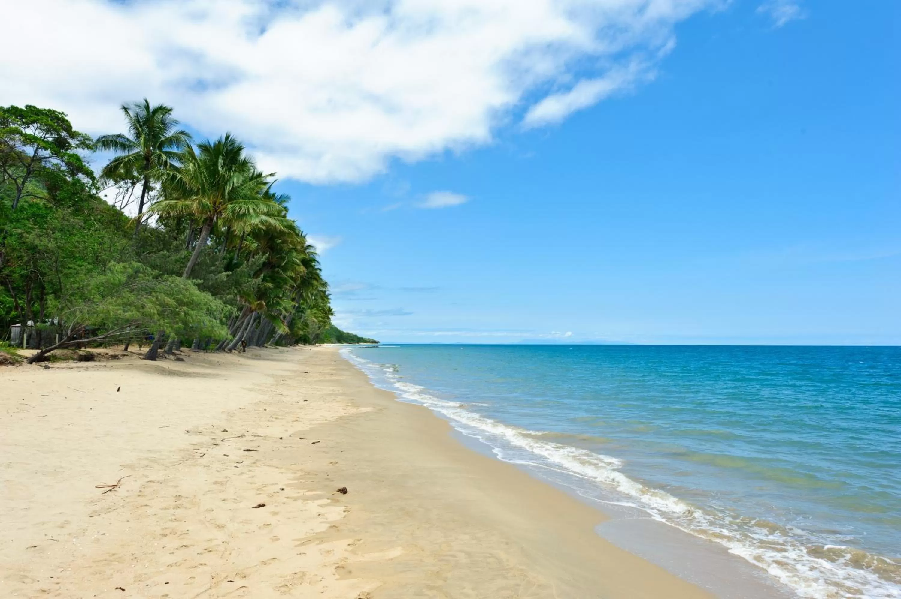 Day in Ellis Beach Oceanfront Holiday Park