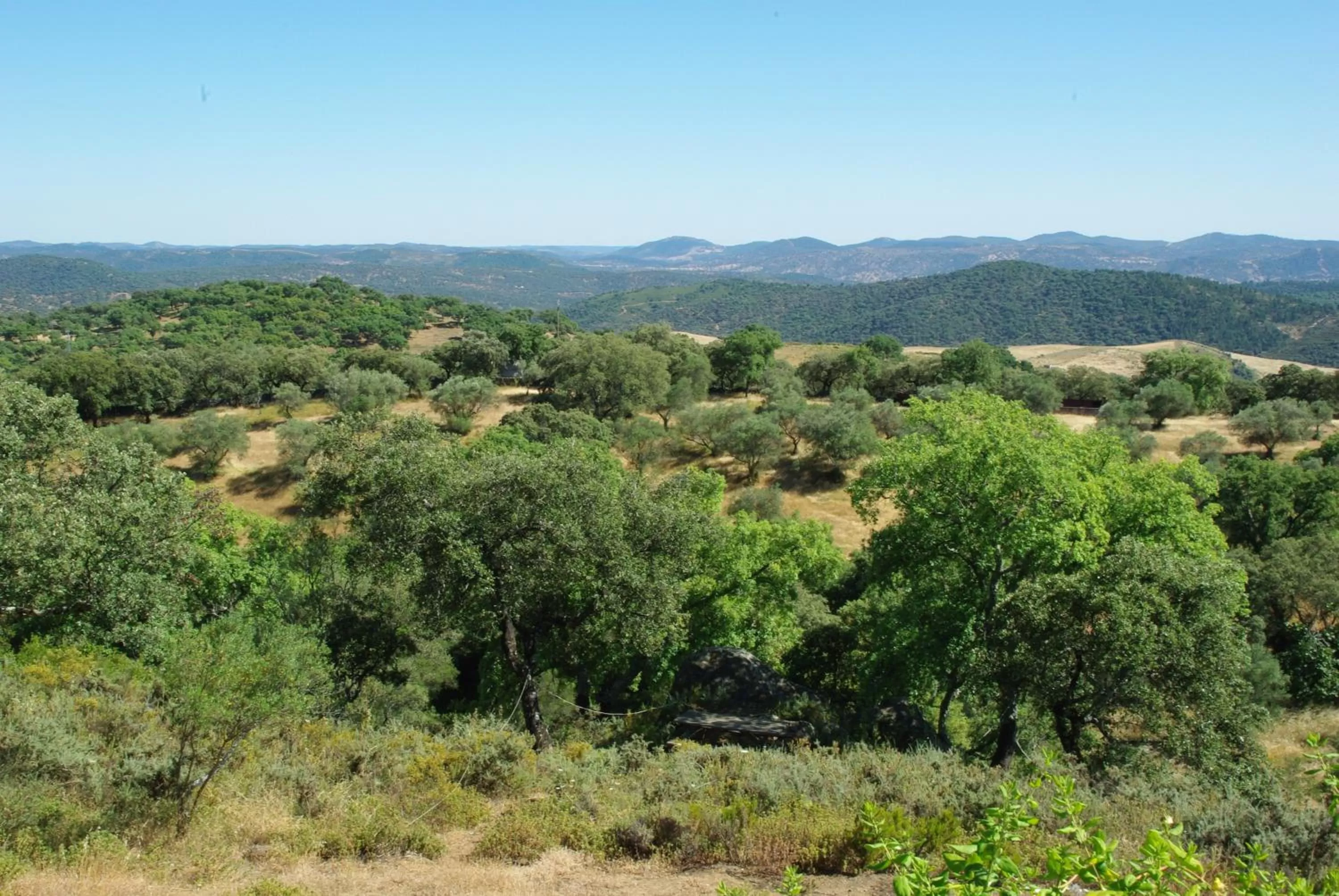 Natural landscape in Hotel La Era de Aracena - Adults Only
