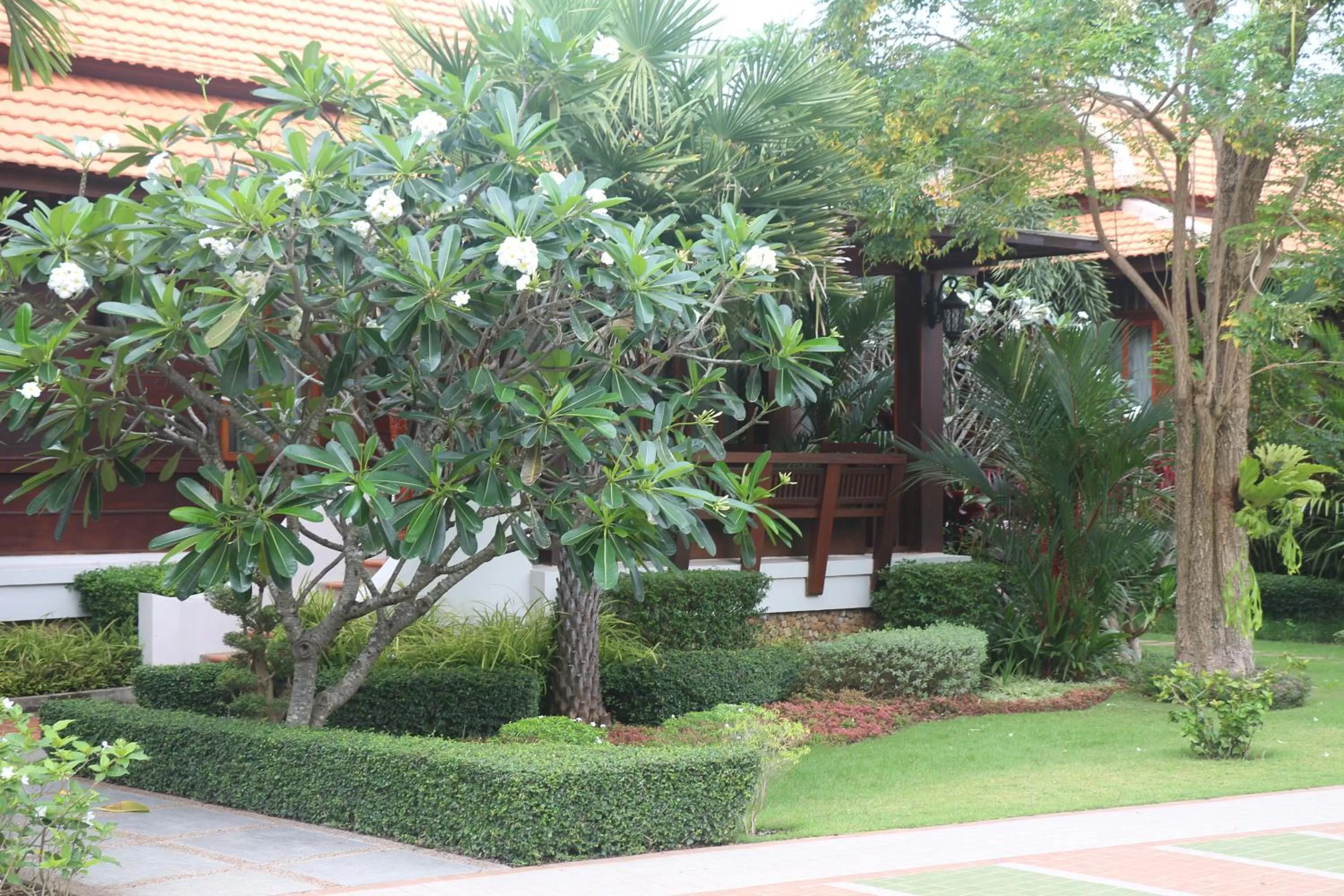Garden view in Try Palace Resort Kep