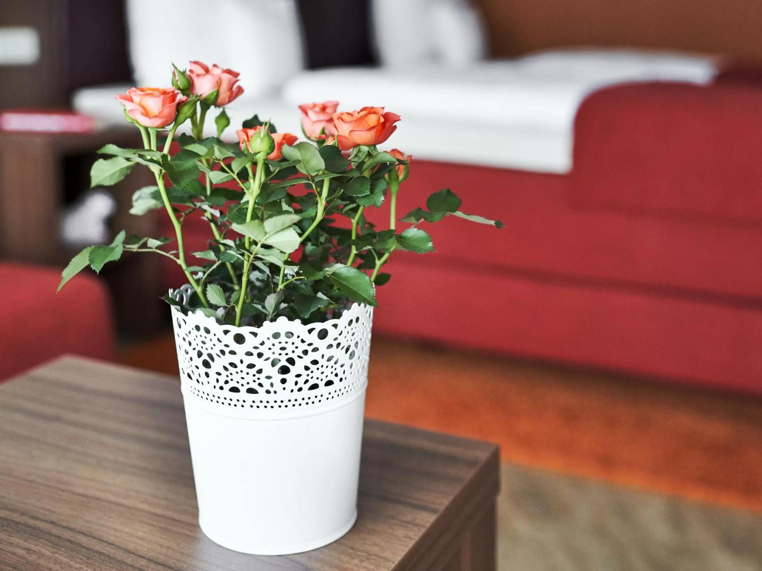 Decorative detail, Bed in Hotel Lamm