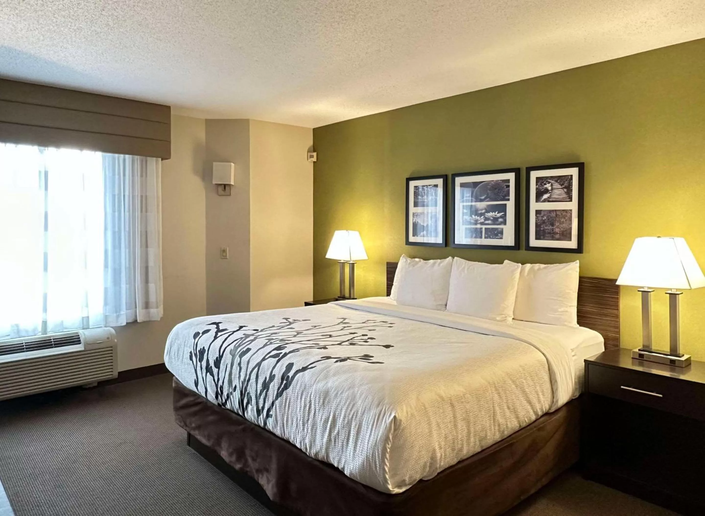 King Room - Disability Access/Non Smoking  in Sleep Inn Staunton