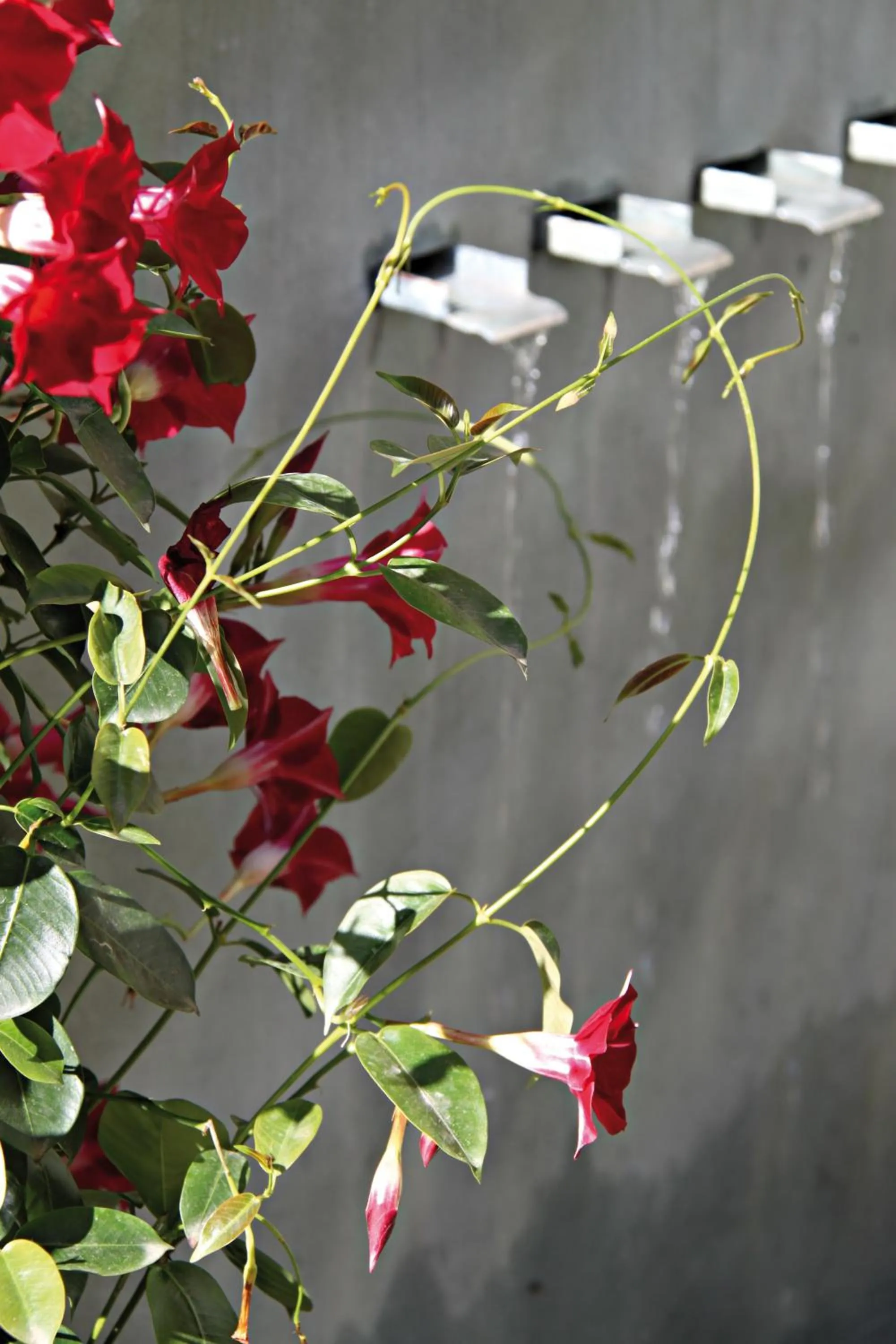 Day in Hôtel Montaigne & Spa - Cannes Centre