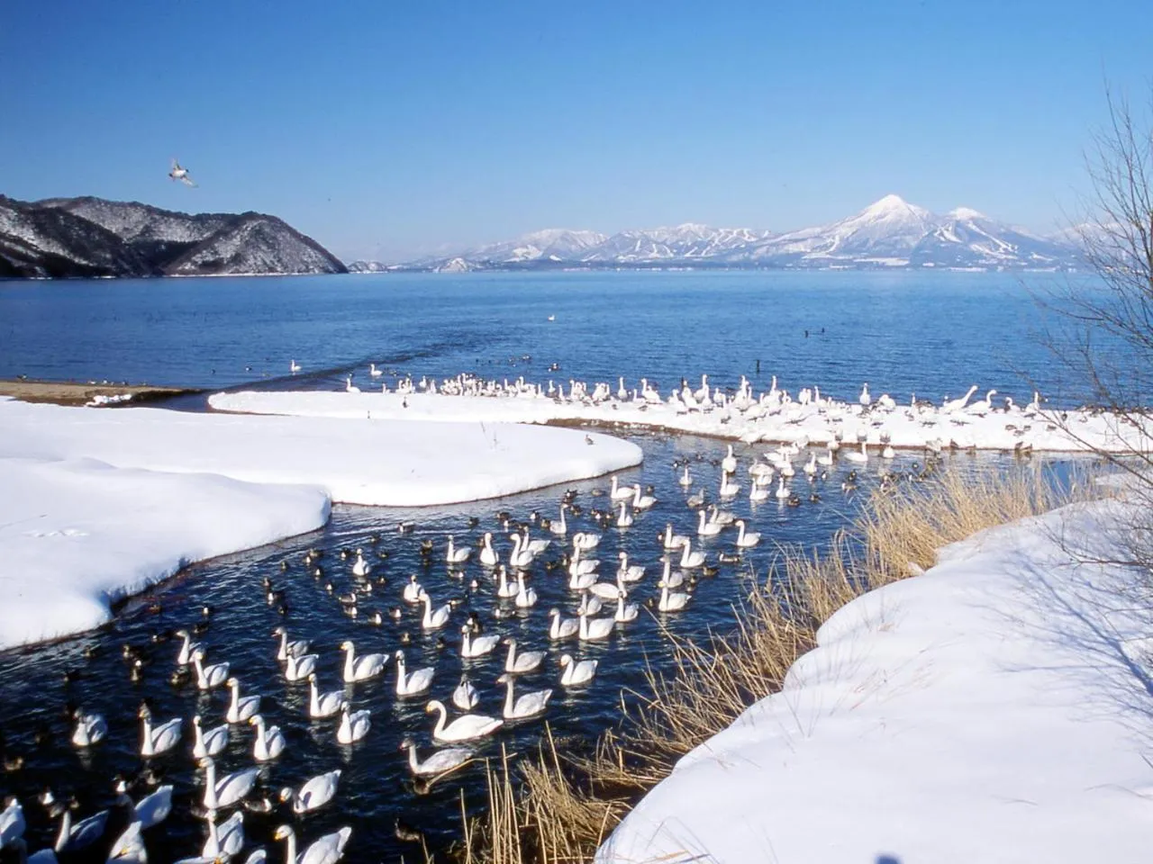 Nearby landmark in APA Hotel Koriyama Ekimae