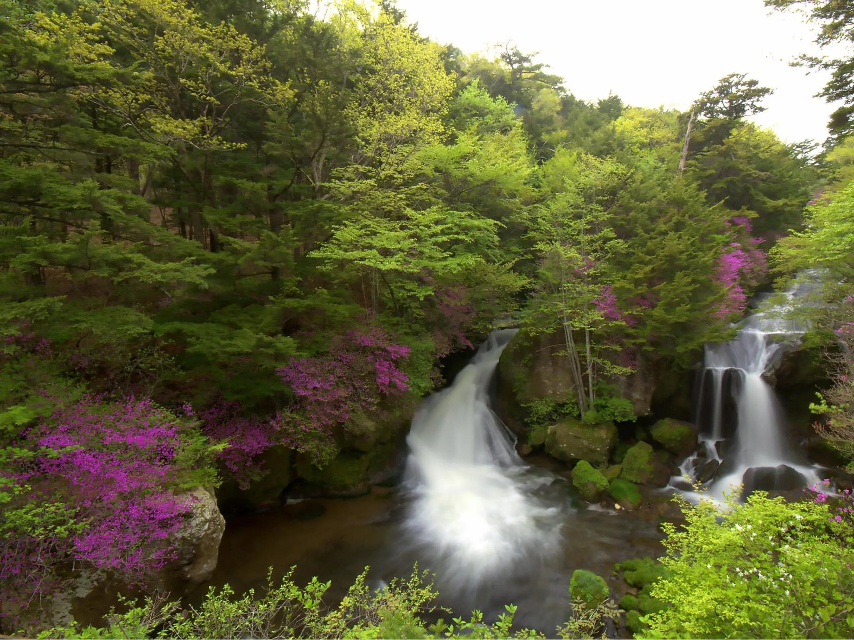 Day in Okunikko Konishi Hotel