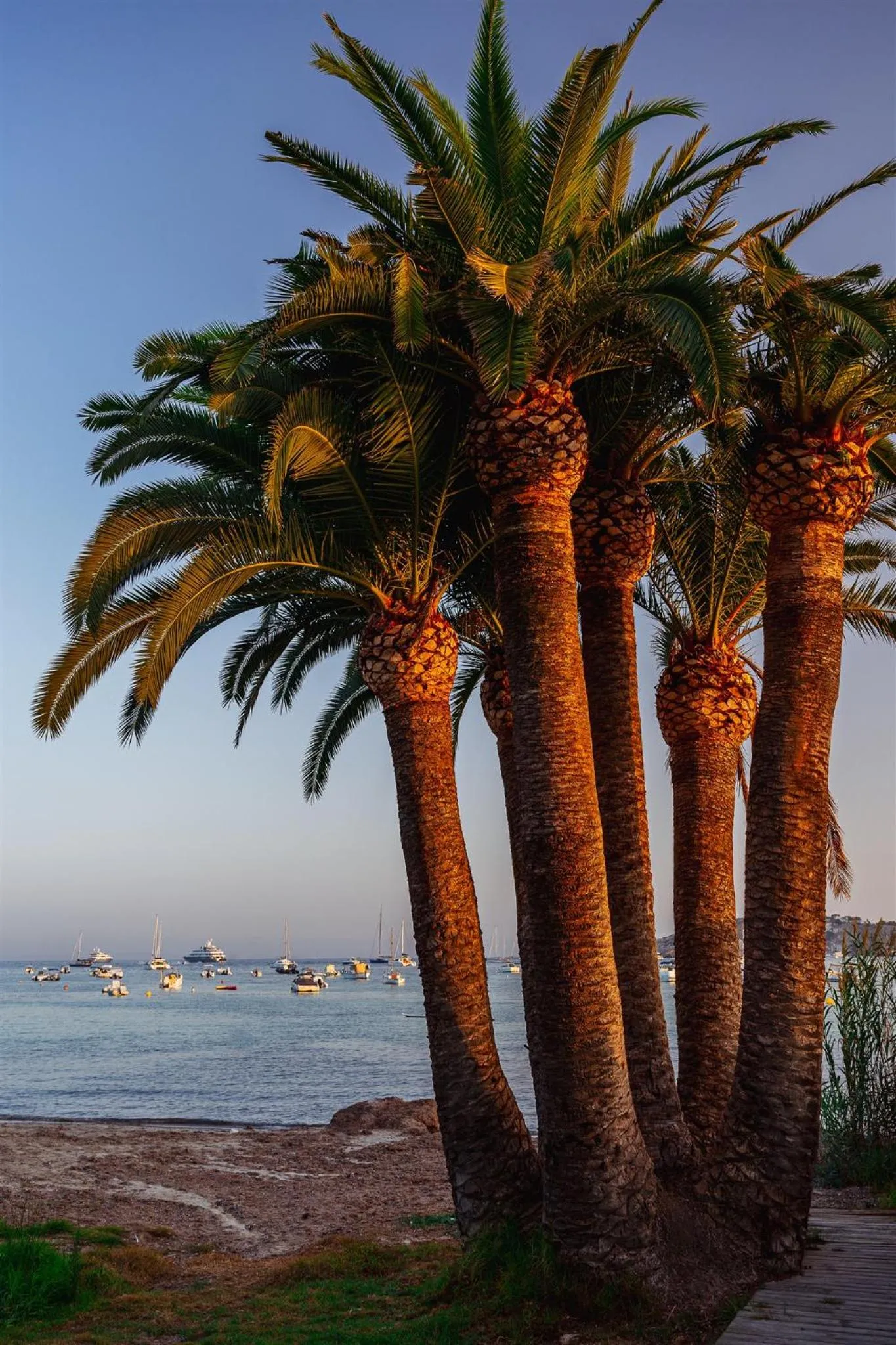 Nearby landmark in Hotel Simbad Ibiza