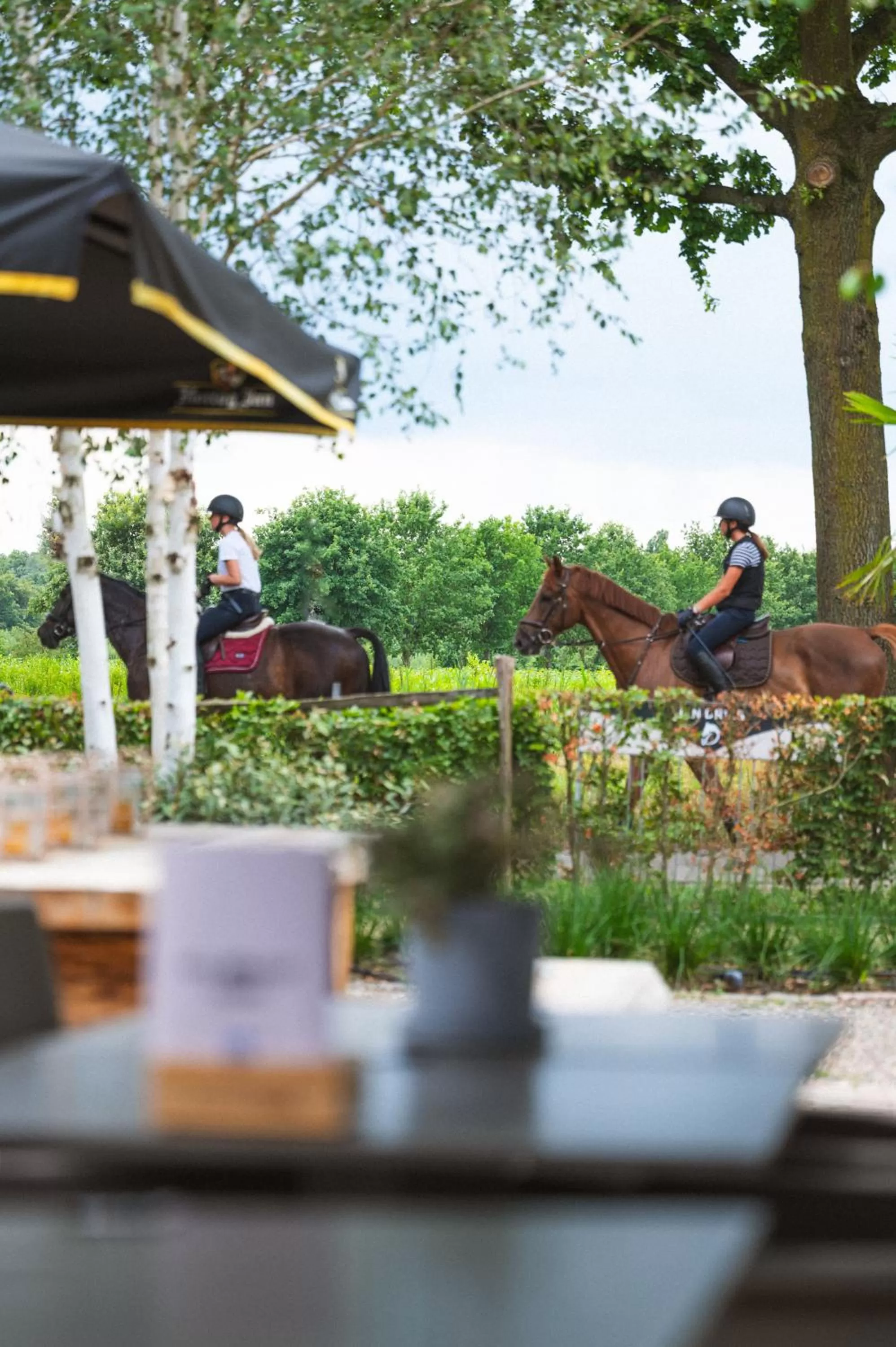 Restaurant/places to eat in Hotel-Herberg D'n Dries