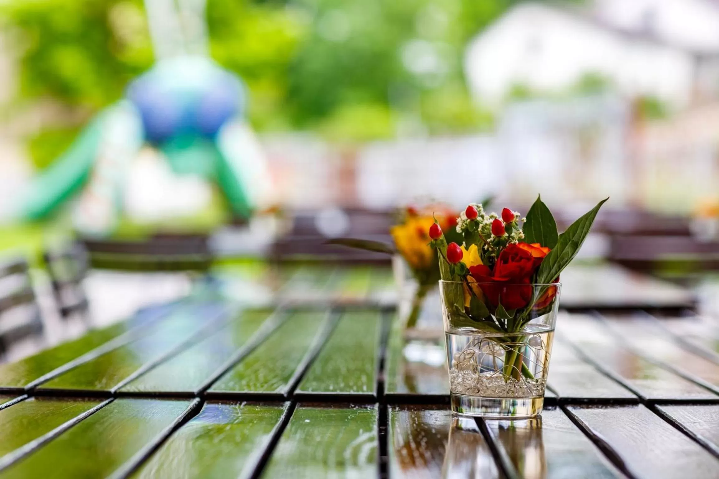Garden in Hotel Bleichibeiz