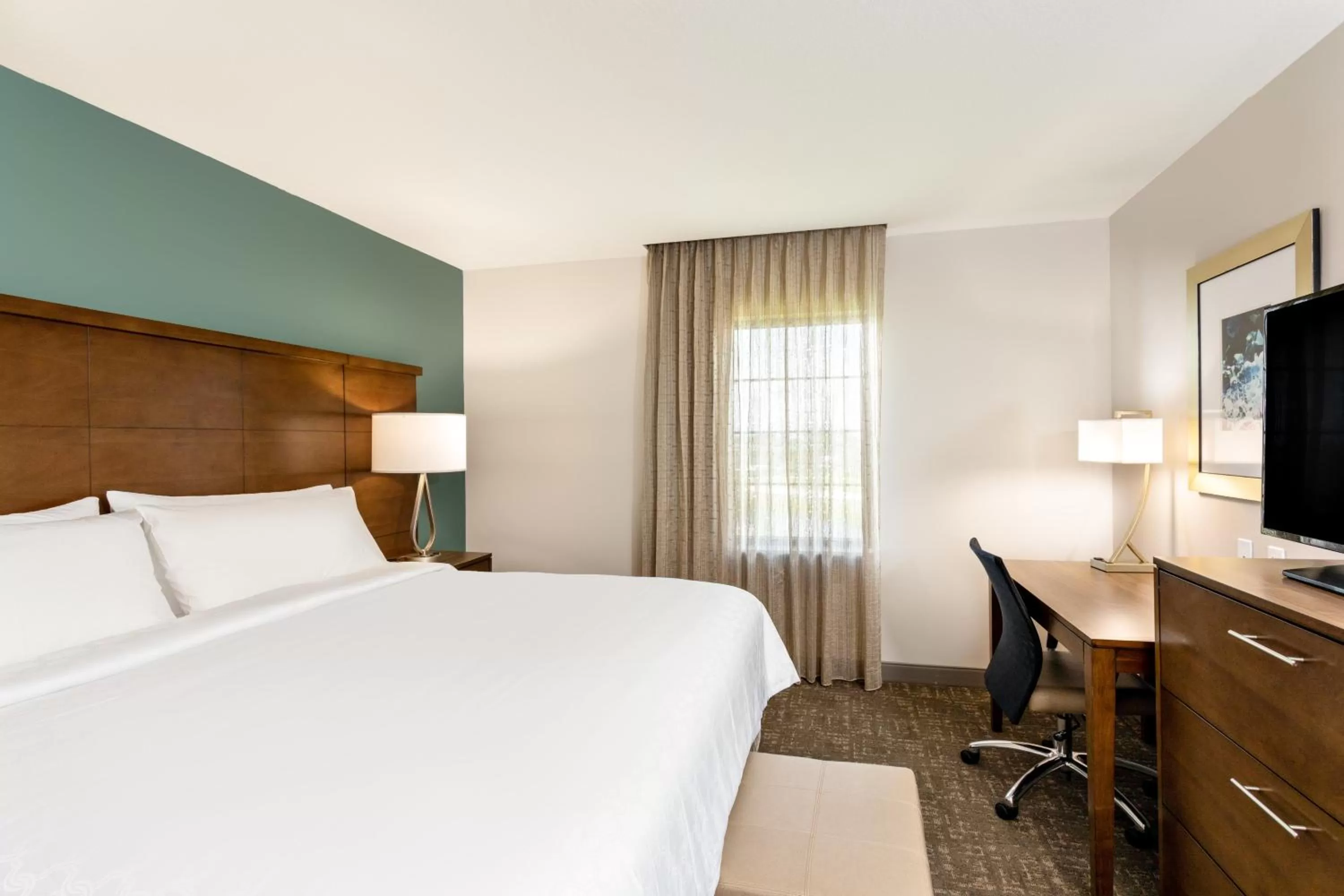 Photo of the whole room, Bed in Staybridge Suites - Fort Lauderdale Airport - West by IHG