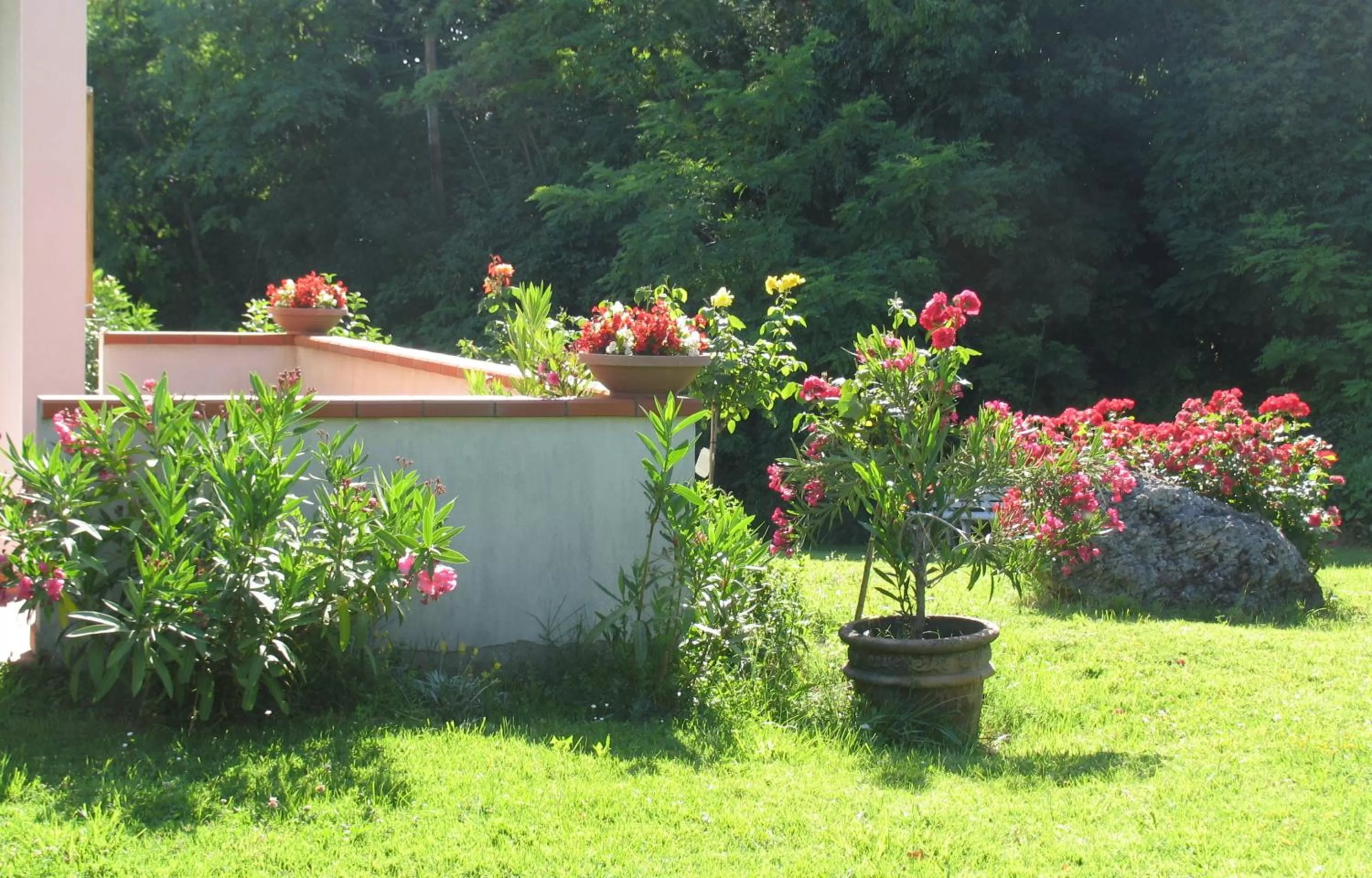 Garden in La Casa Dei Boschi