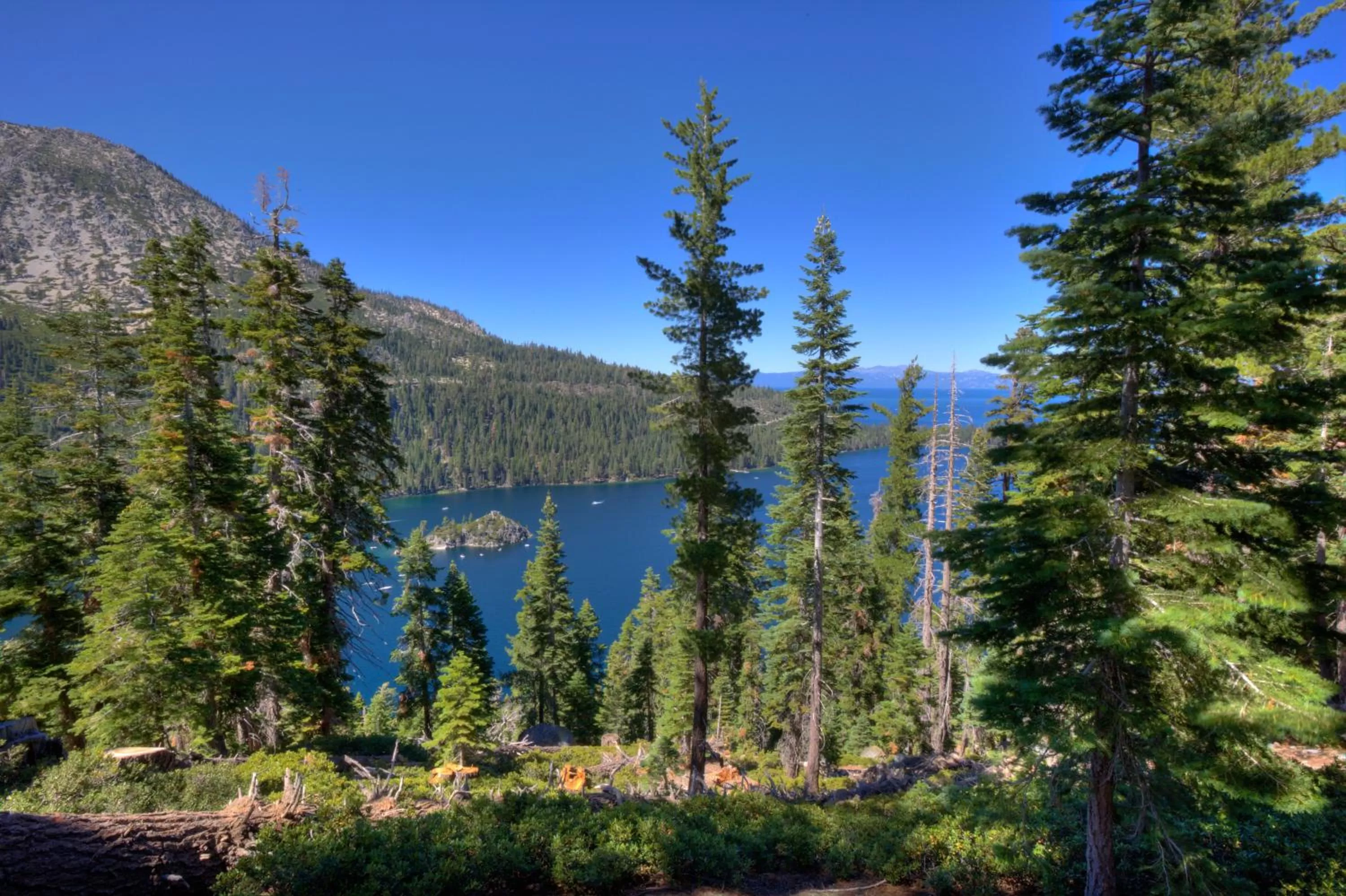 Natural landscape in Legacy Vacation Resorts - Reno