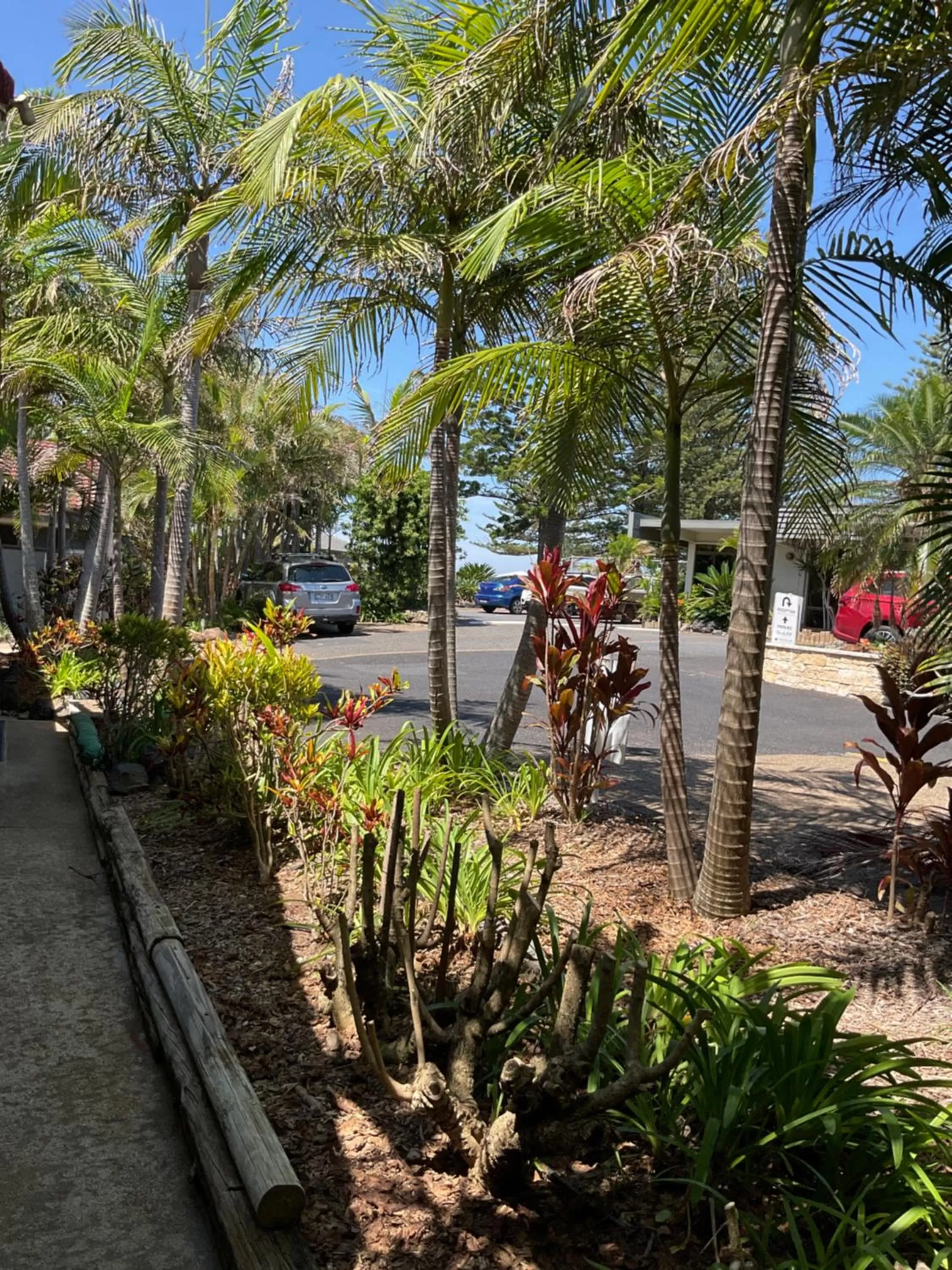 Private Suite Nautilus Beach Front Resort