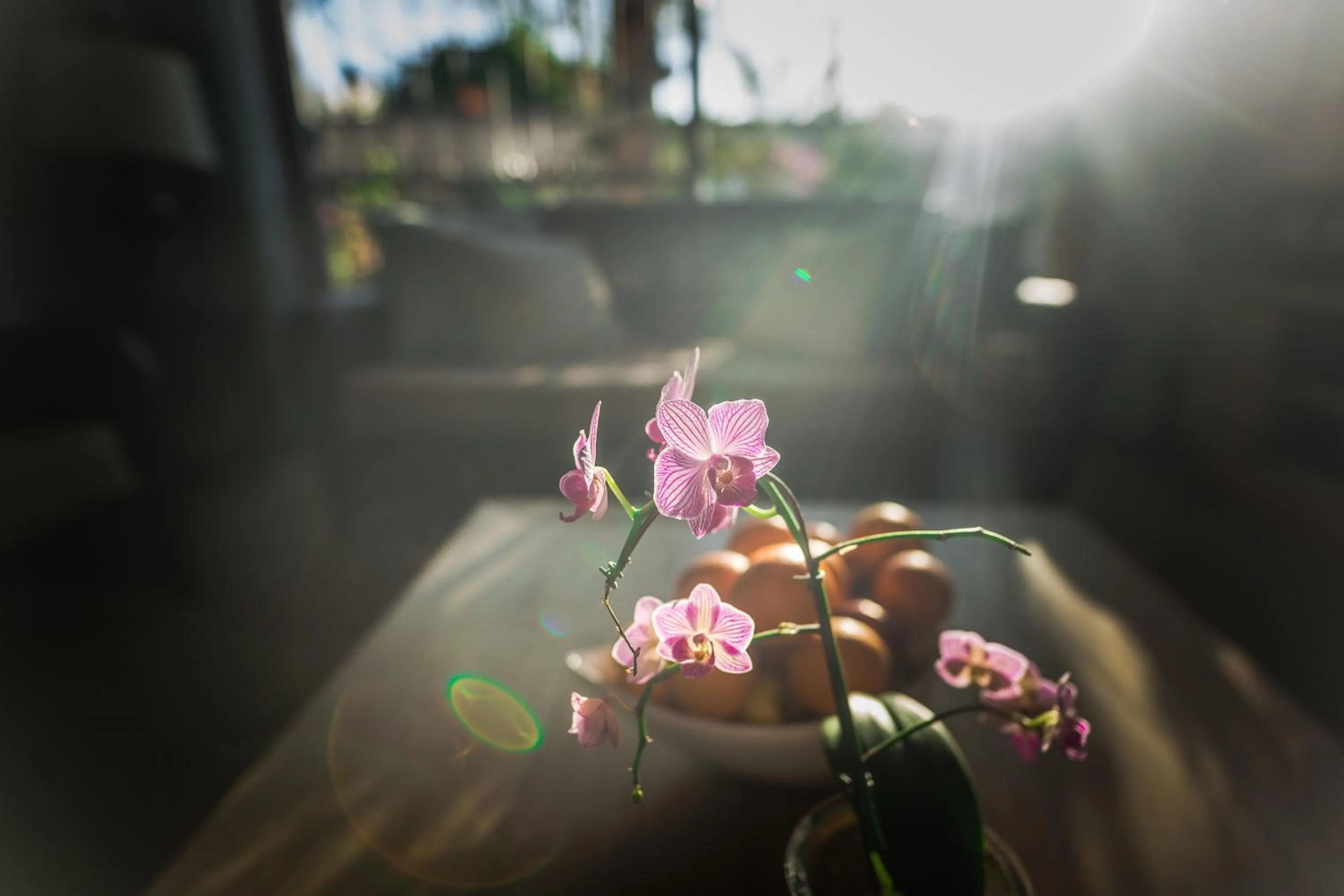 Food close-up in Point B Guest House -Sustainable Solar Energy