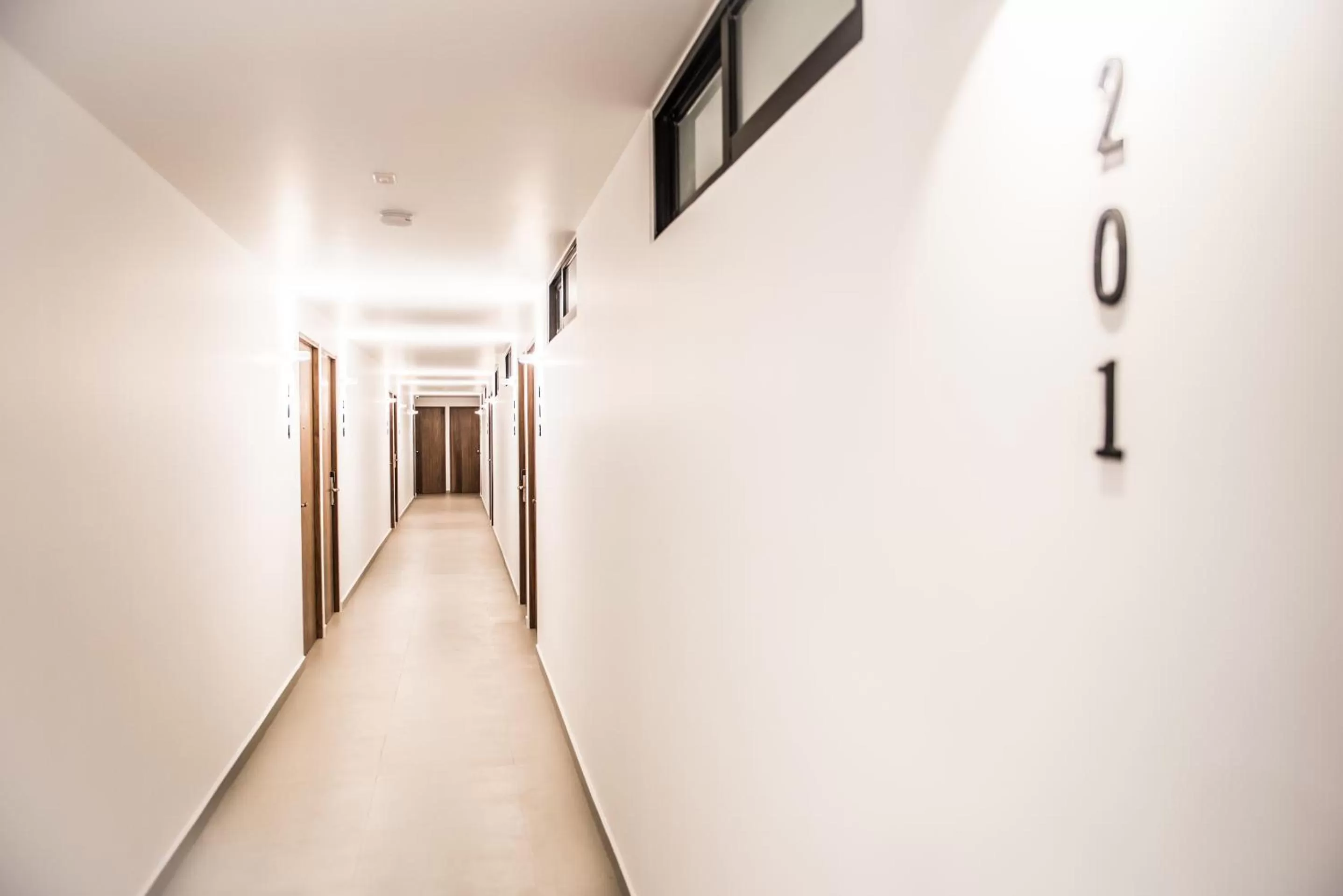 Area and facilities in Hotel Boutique Parque Centro