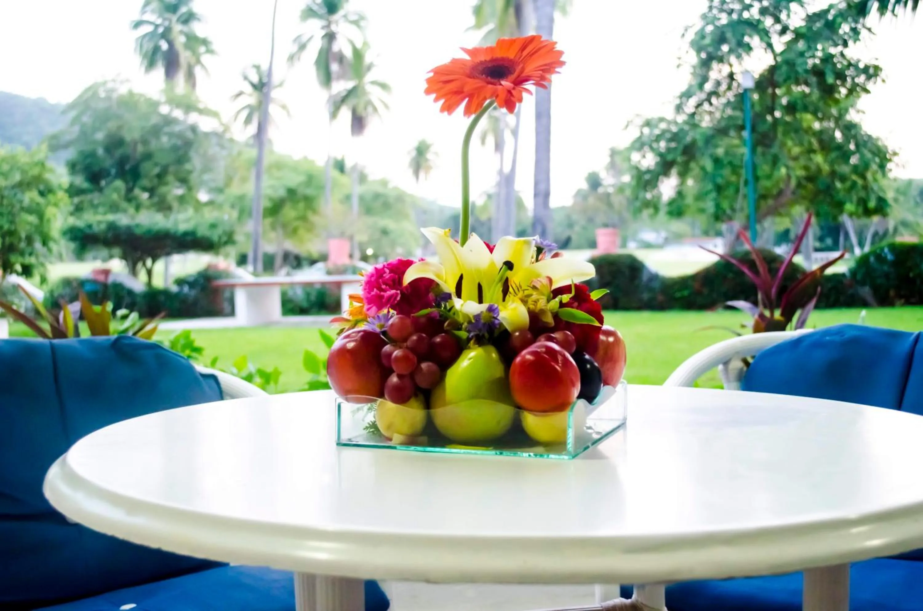 Area and facilities in Coral Ixtapa