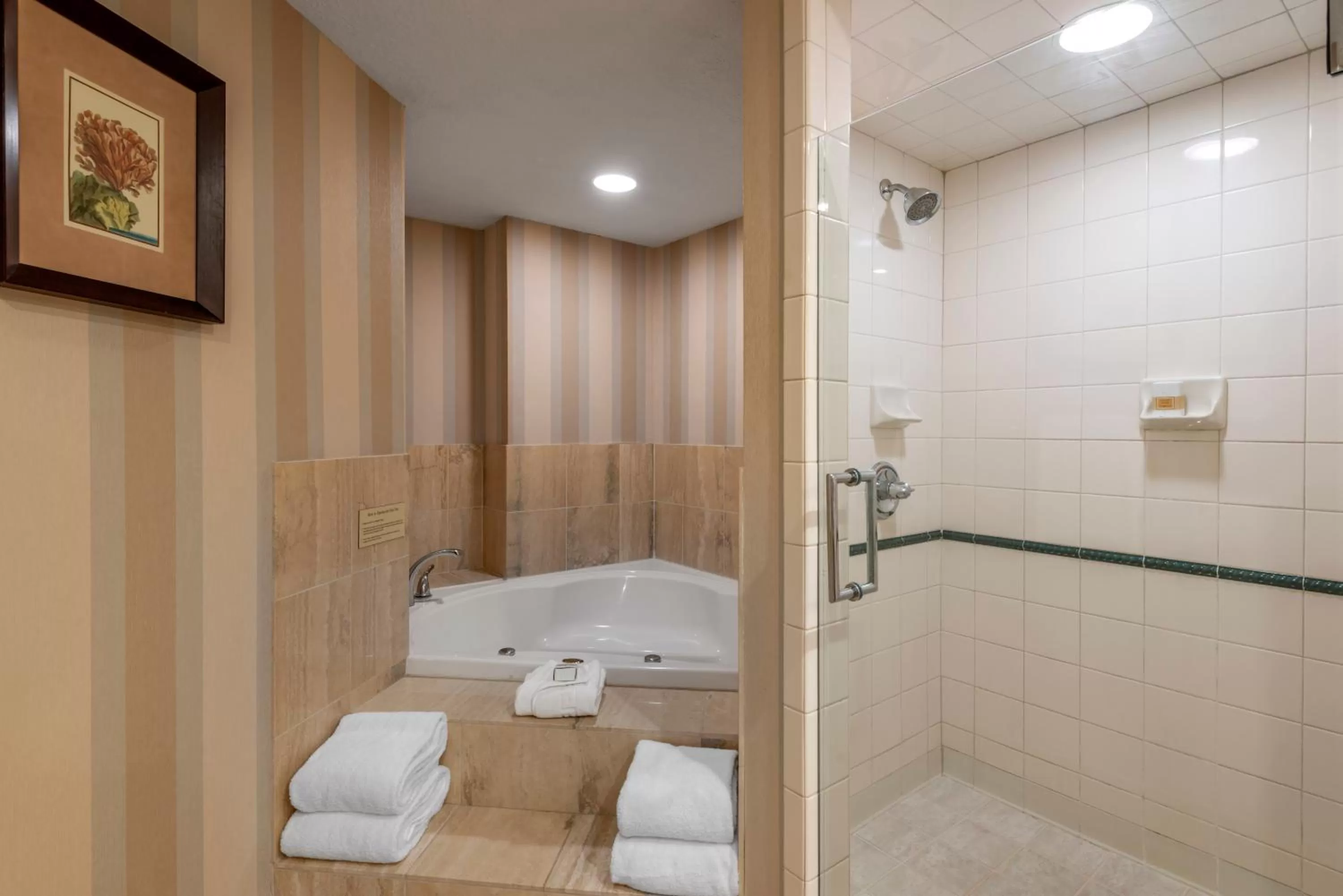 Bathroom in Omni Amelia Island Resort & Spa