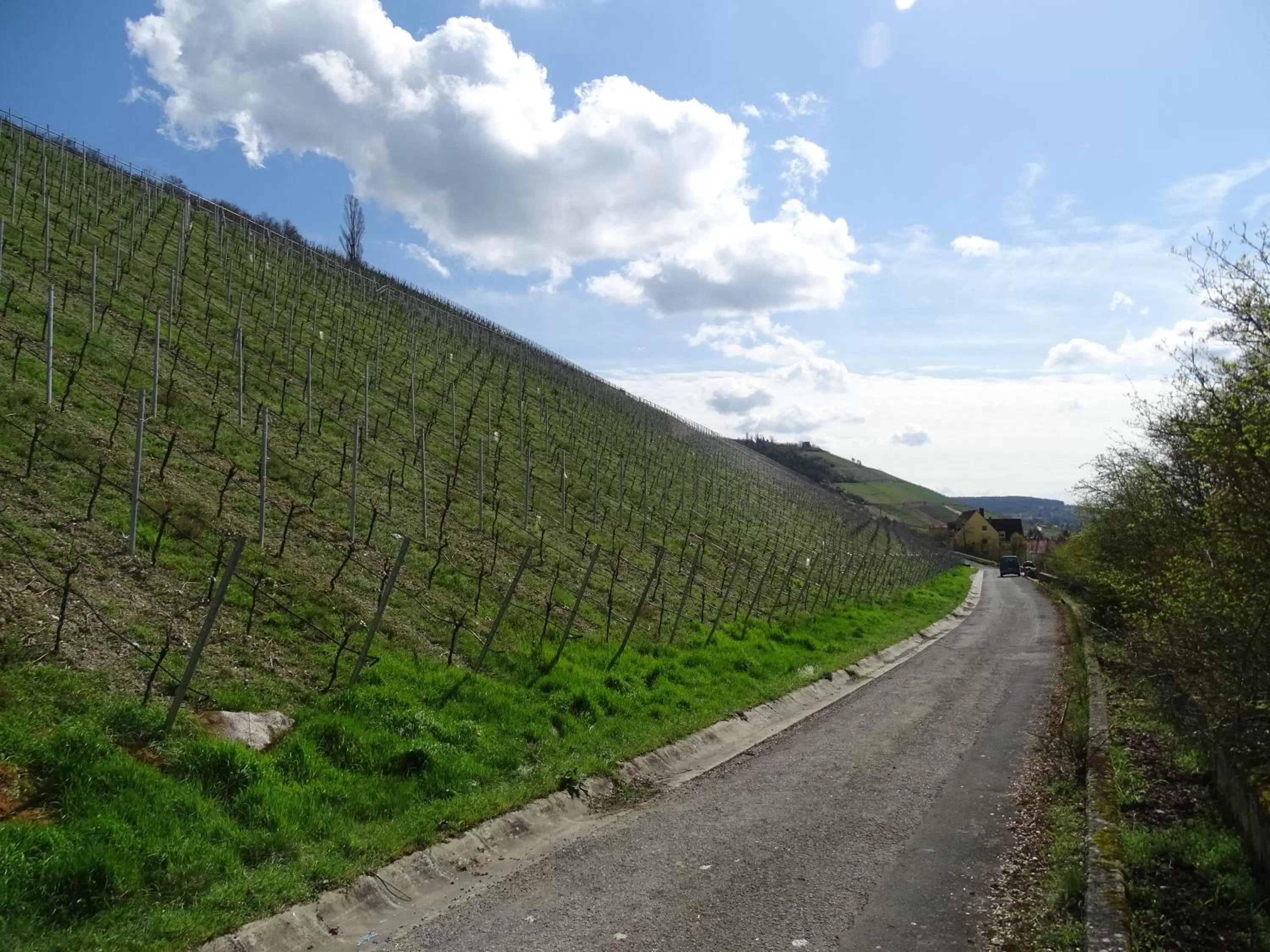 Hiking in Hotel Demling