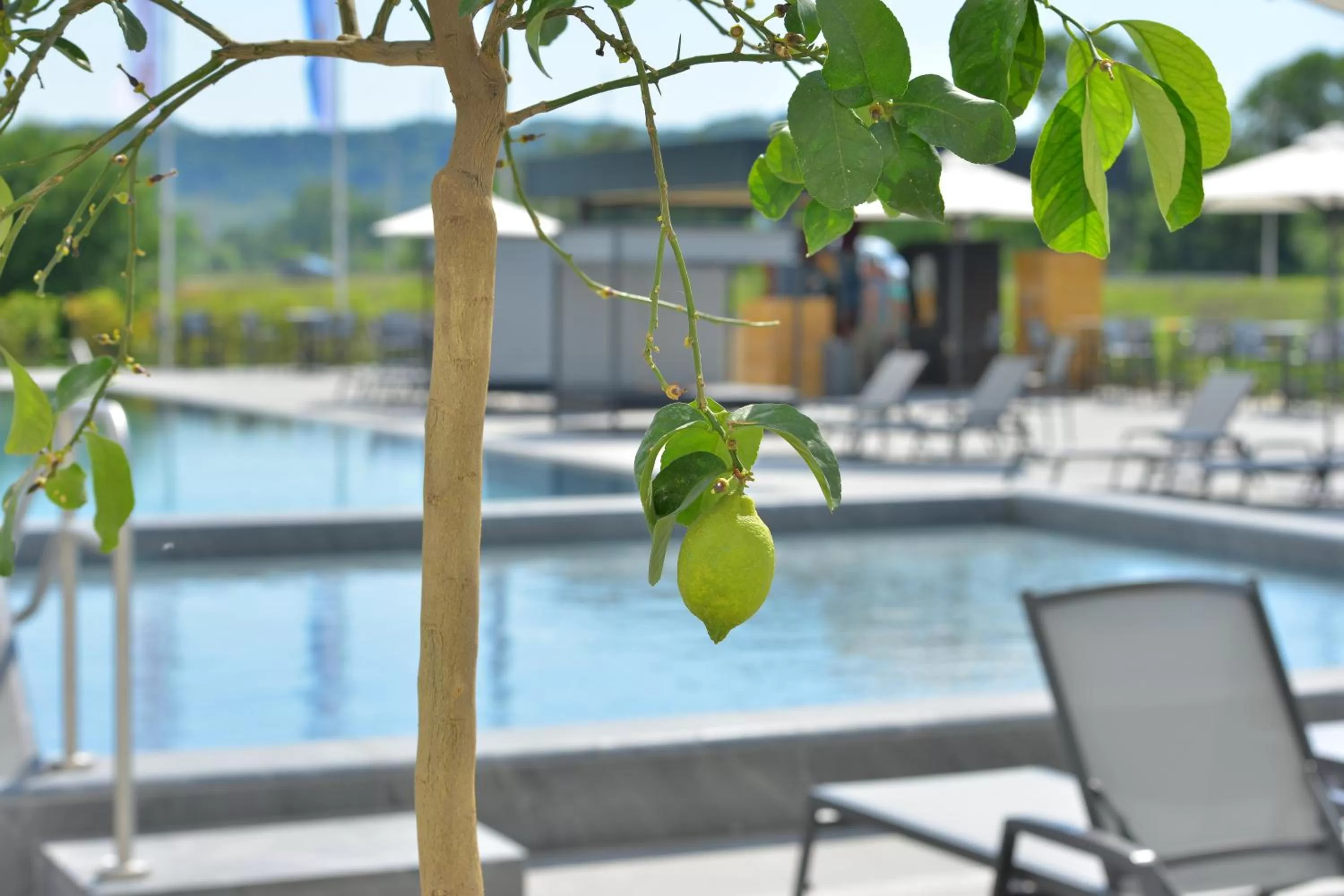 Swimming pool in mk hotel tirana