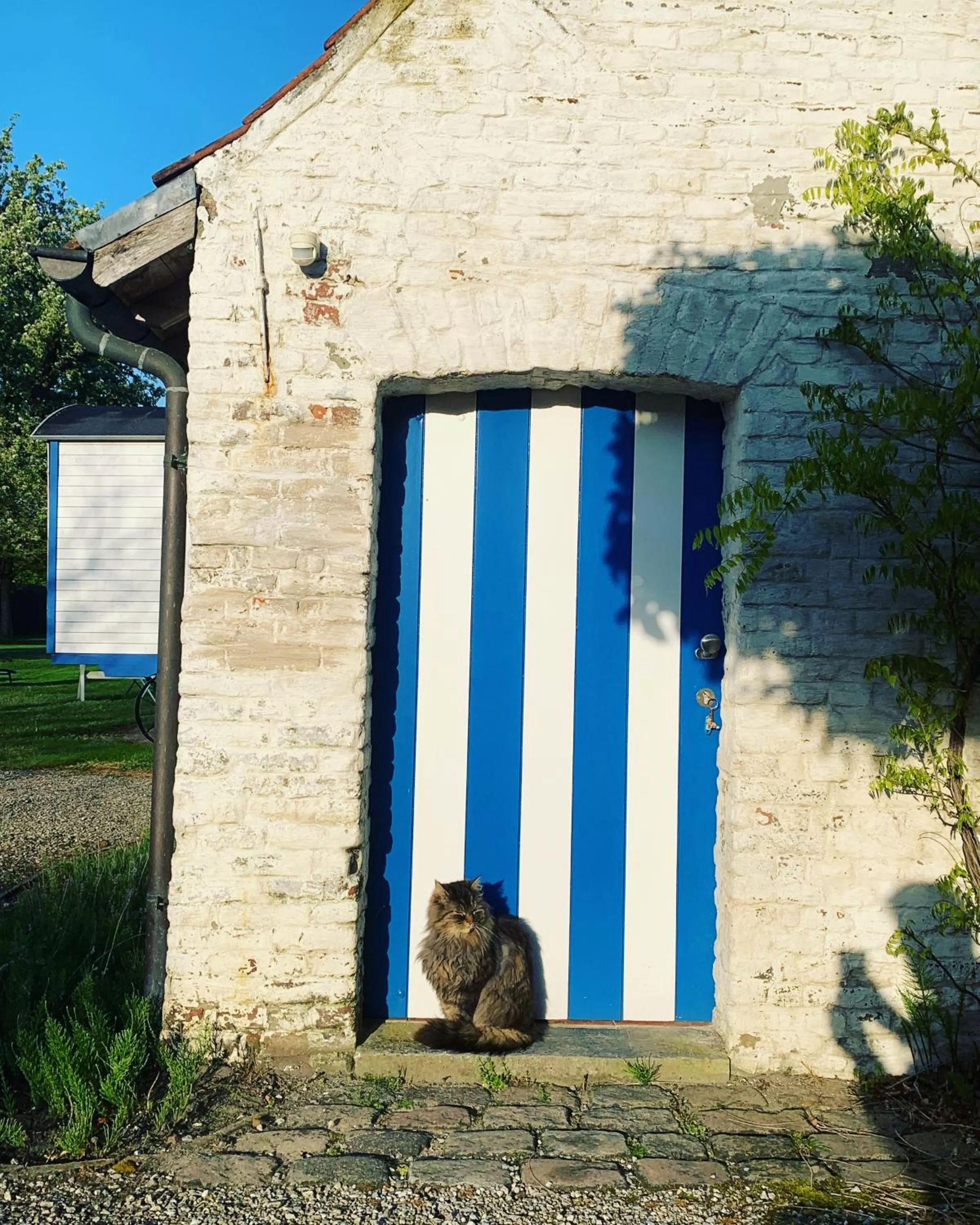 Internal: Not applicable to any particular room in Hamiora wellness B&B