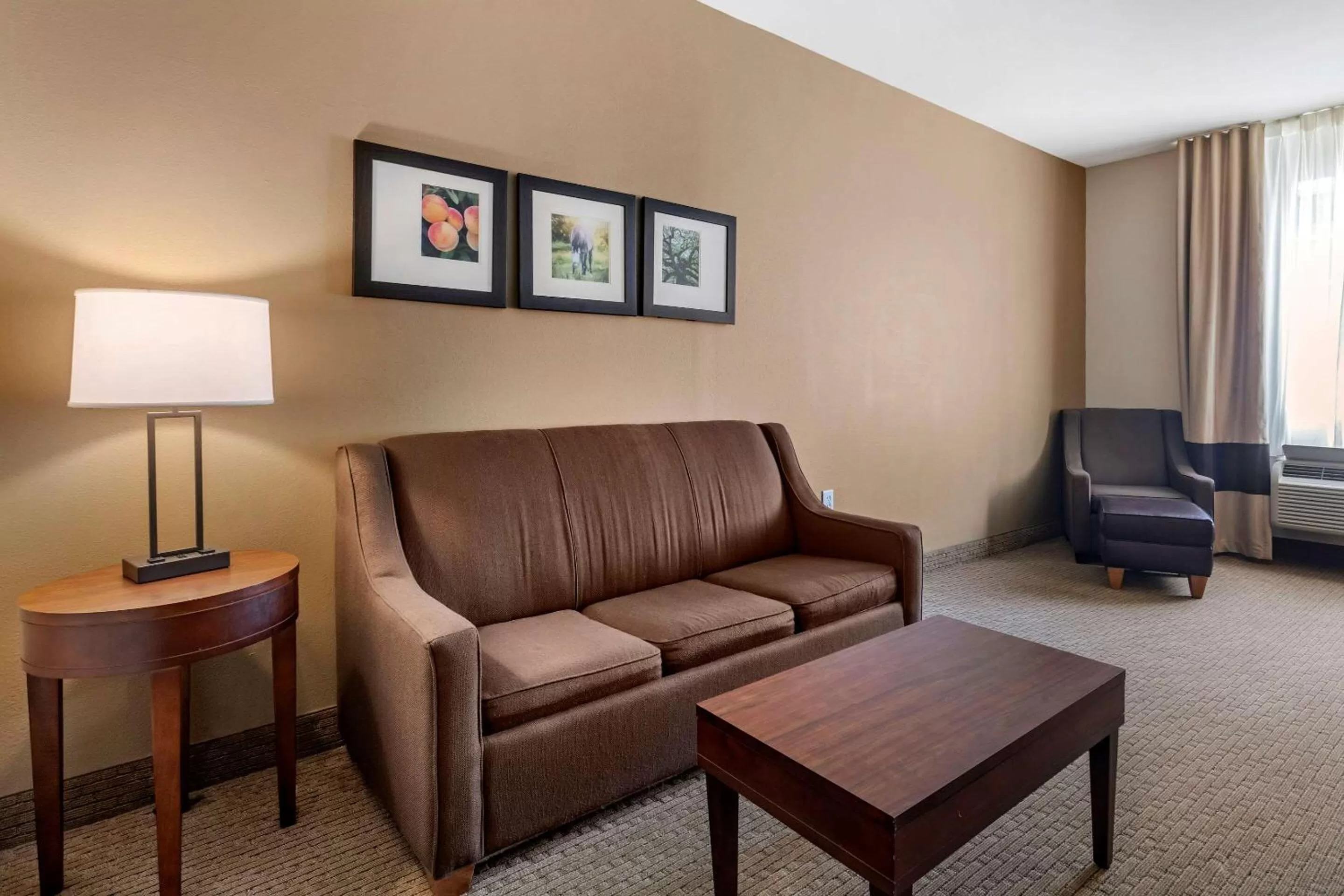 Photo of the whole room in Comfort Inn & Suites Villa Rica