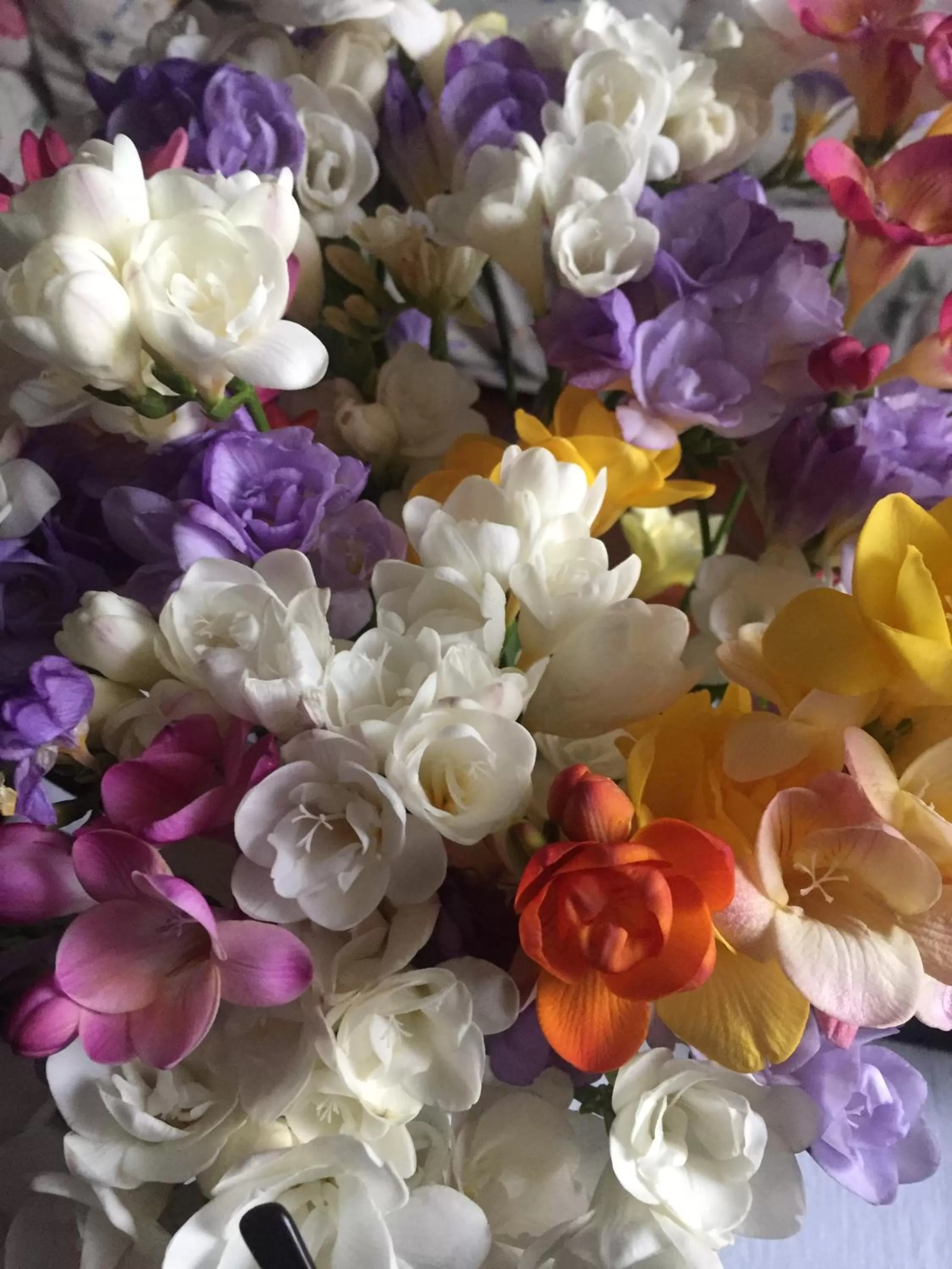 Communal lounge/ TV room in Corte Posta B&B