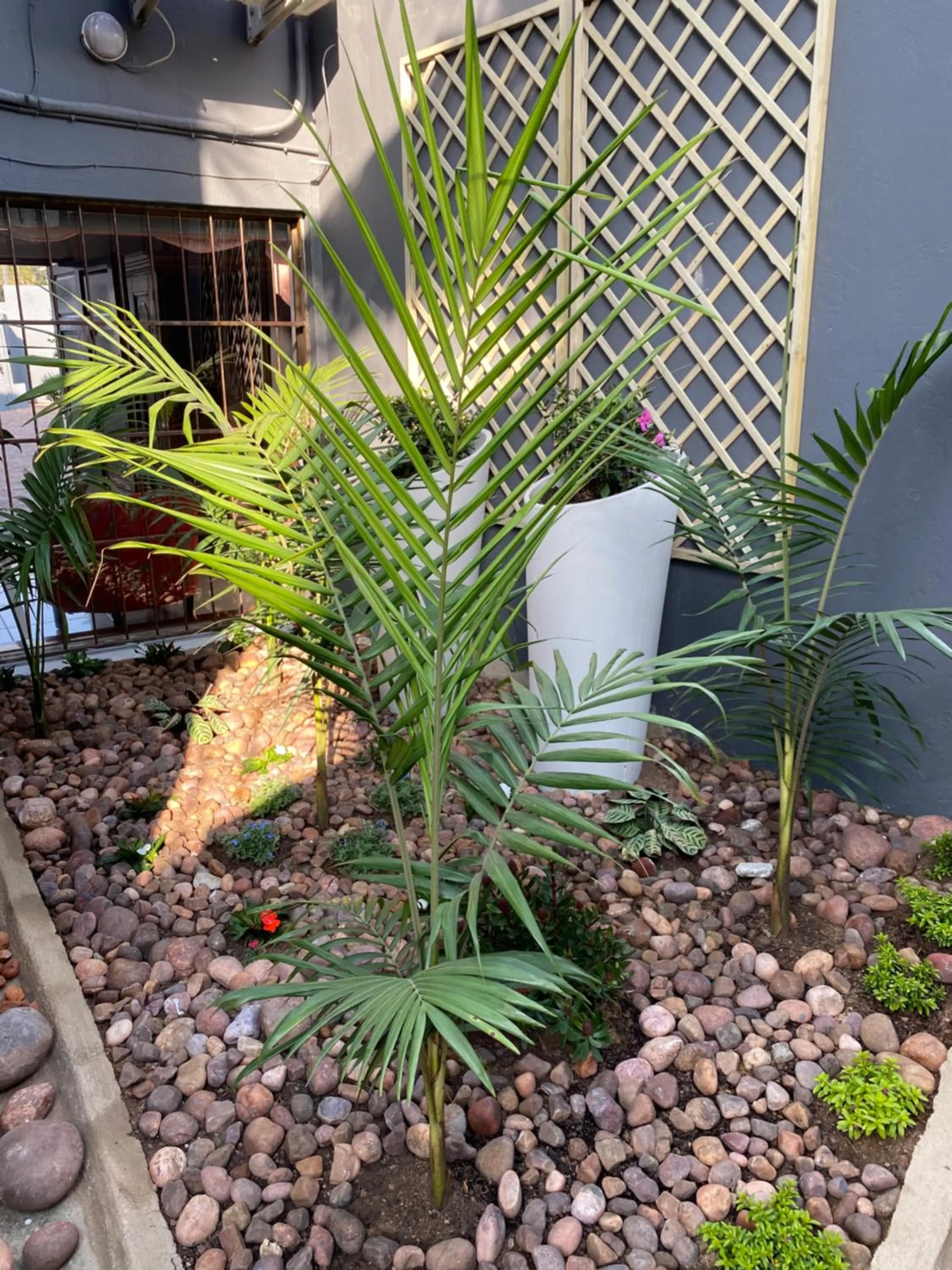 Garden in Marion Lodge