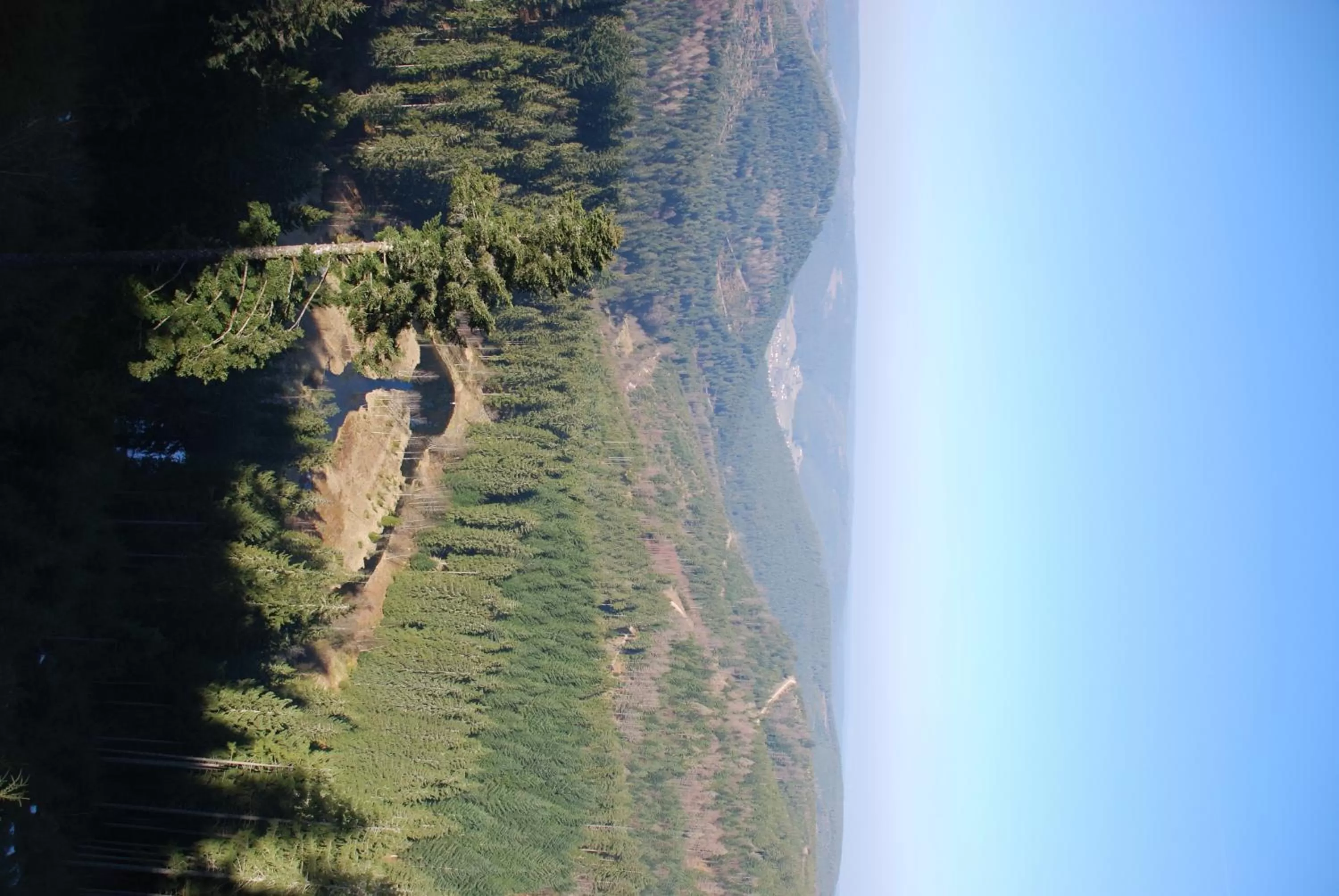 Nearby landmark in Hotel Adler