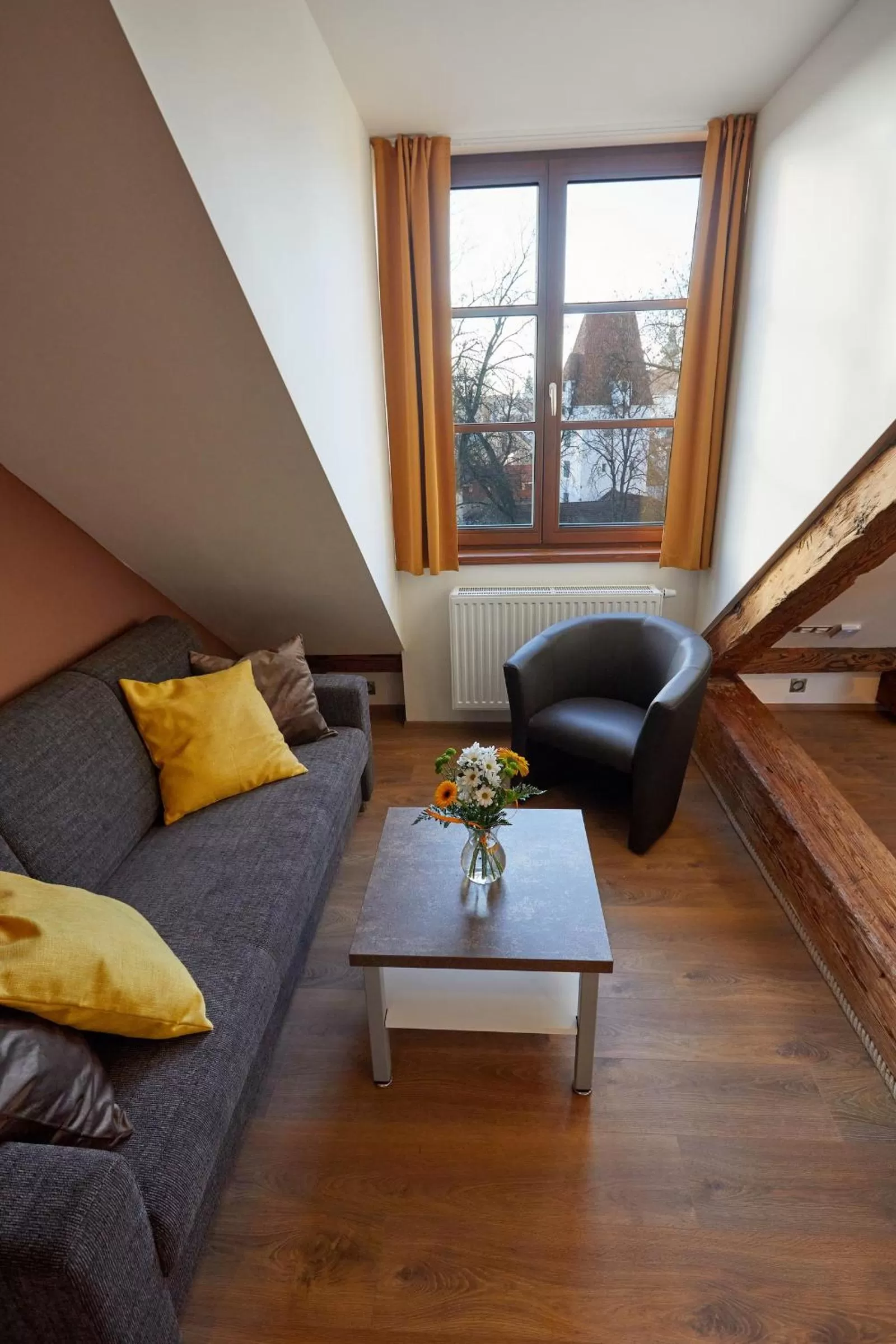 Residence Mariánská