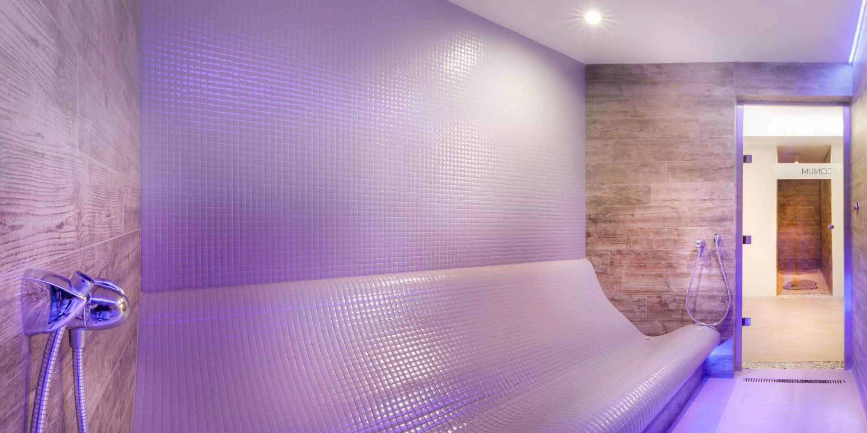 Steam room, Bed in Cihelny Golf & Wellness Resort
