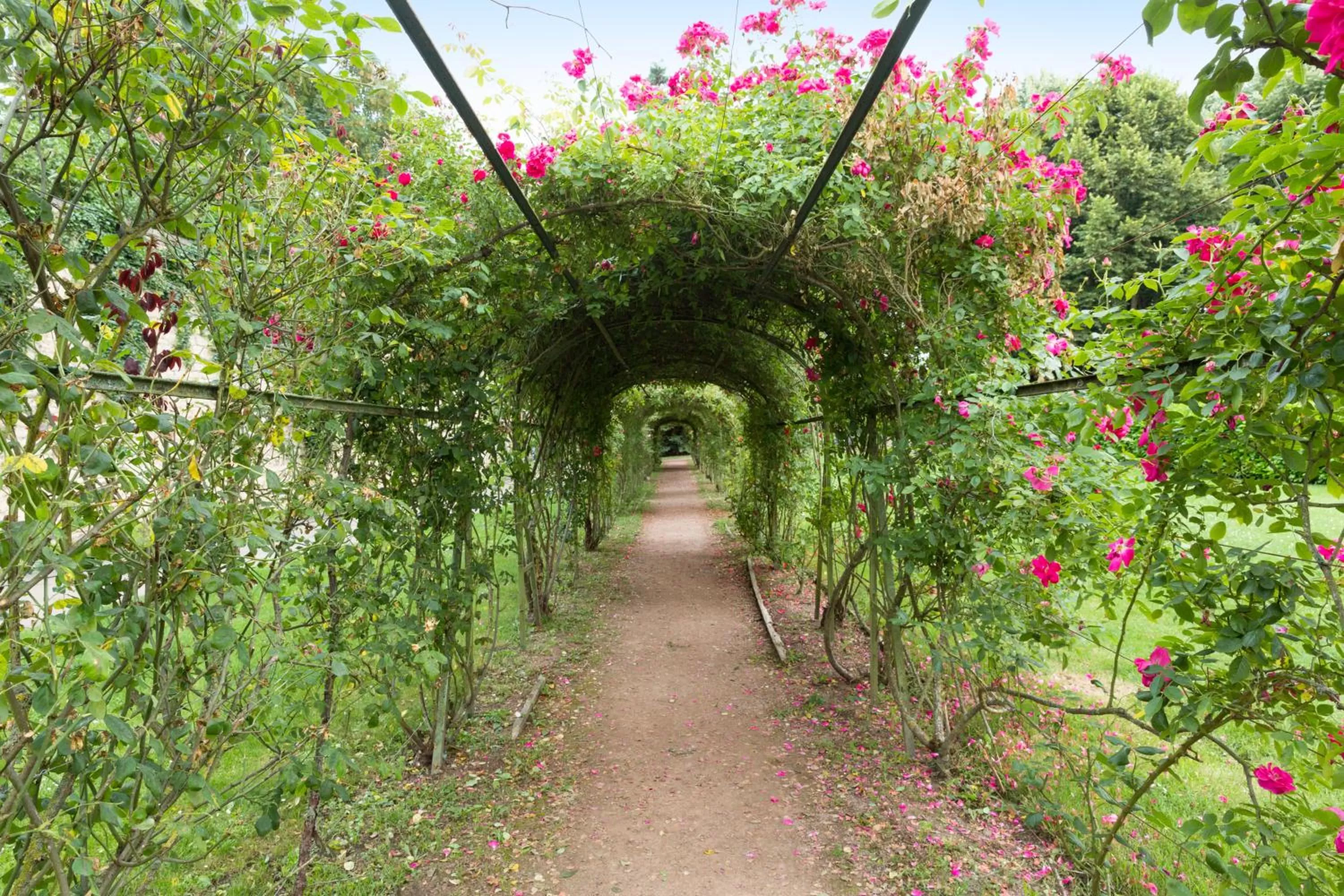 Off site in BRIT HOTEL CONFORT NEVERS Centre Gare