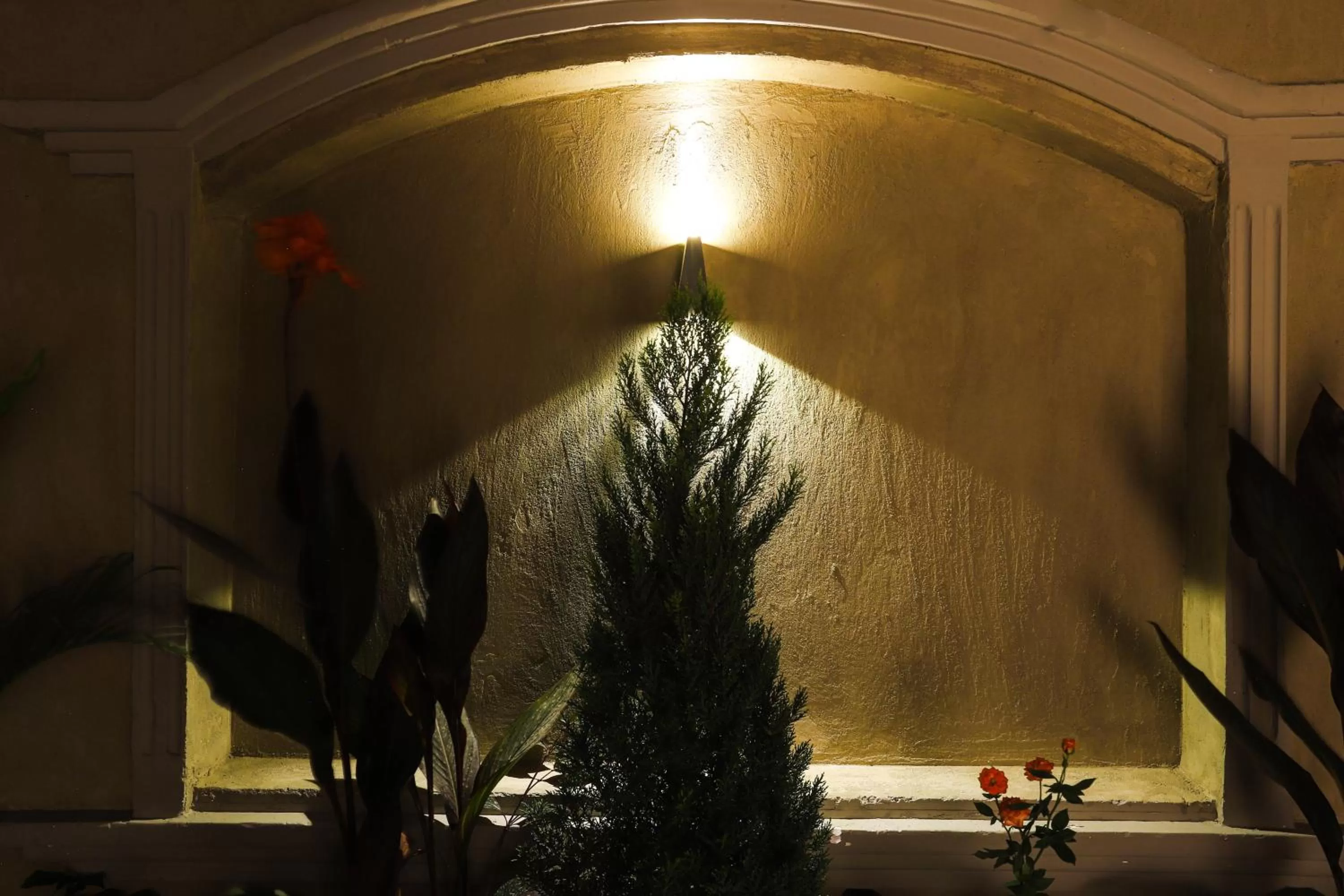 Night in NewCity Hotel & Suites