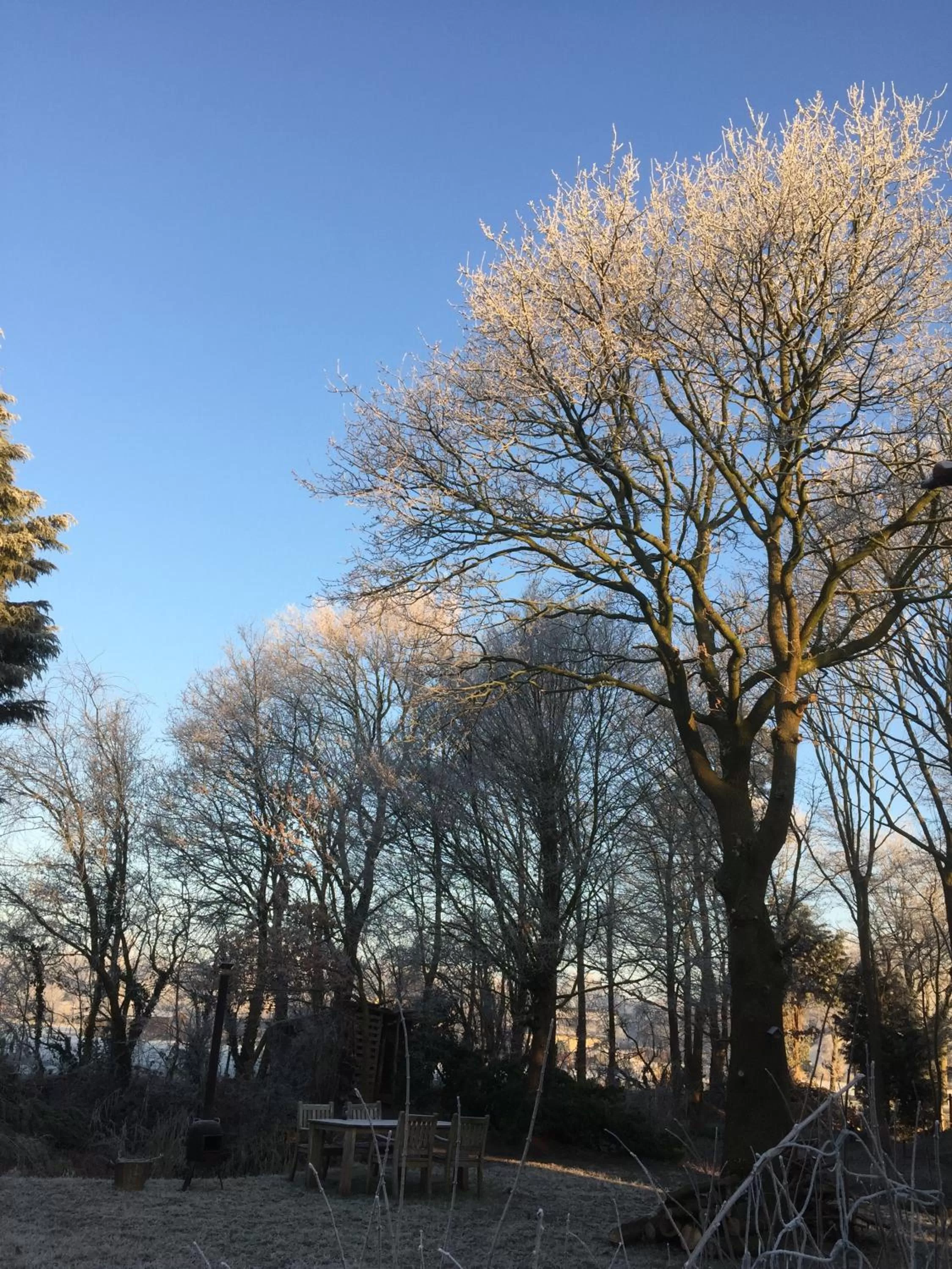 Other in B&B van Beijden