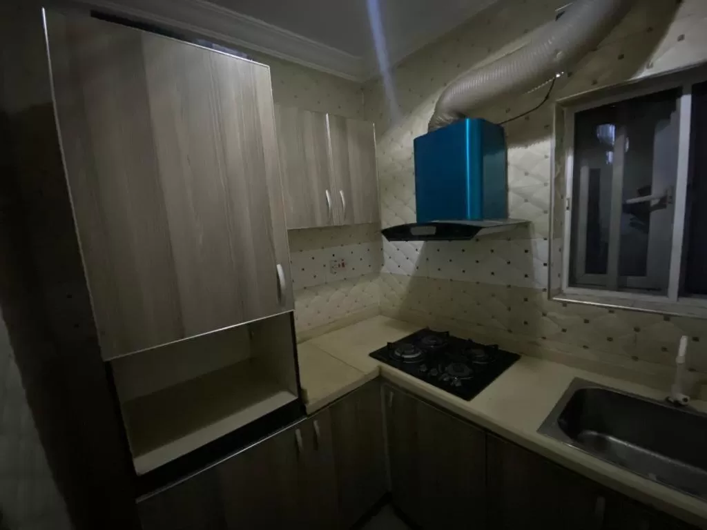 Kitchen or kitchenette in Palazzo Apartments