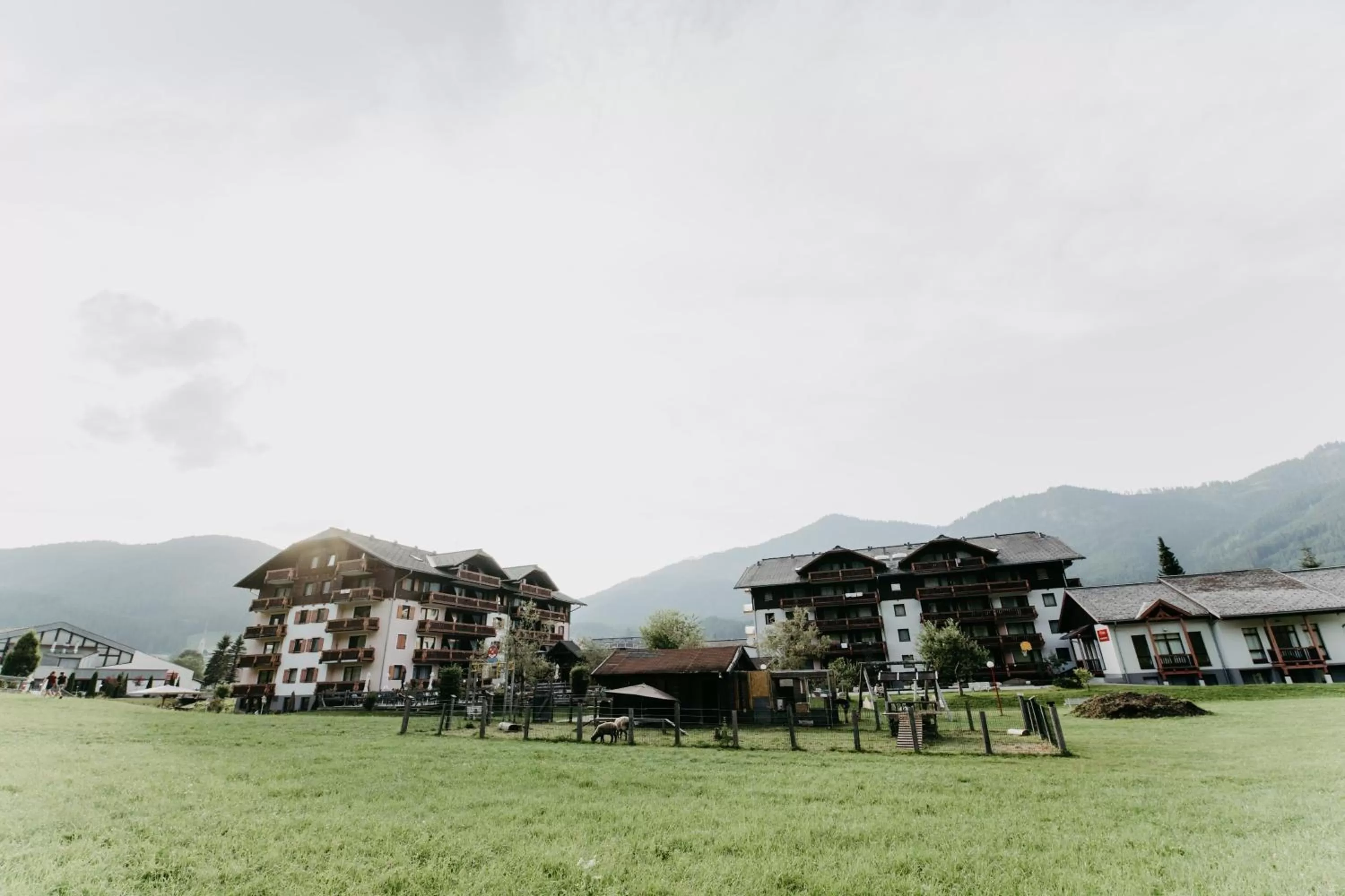 Garden in Vitalhotel Gosau