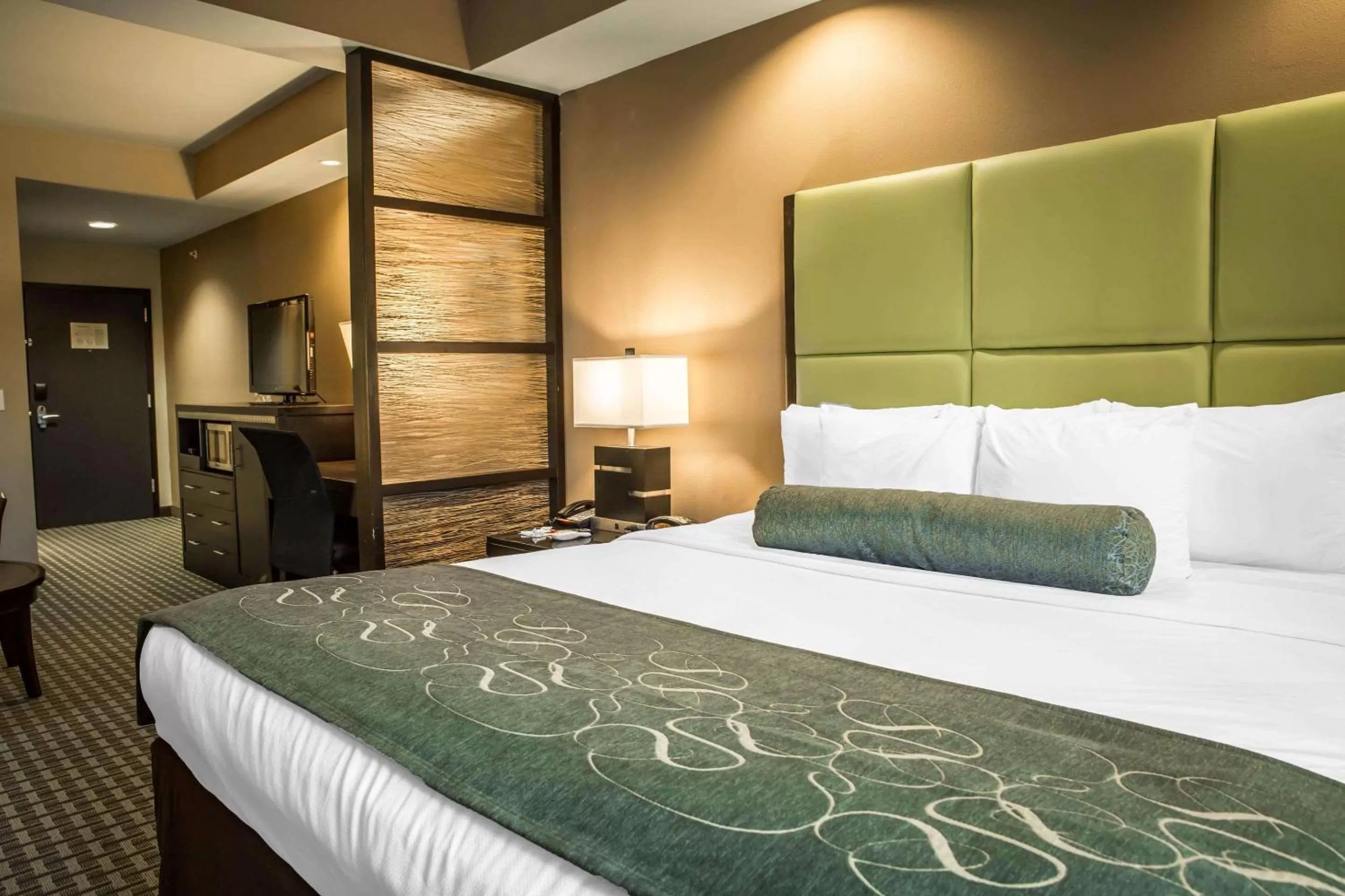 Photo of the whole room, Bed in Comfort Suites New Bern near Cherry Point