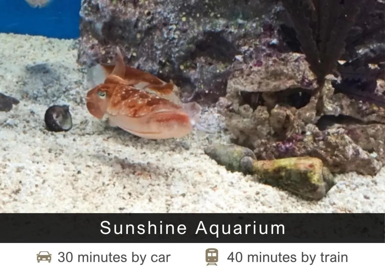 Nearby landmark in Tokyu Stay Shibuya