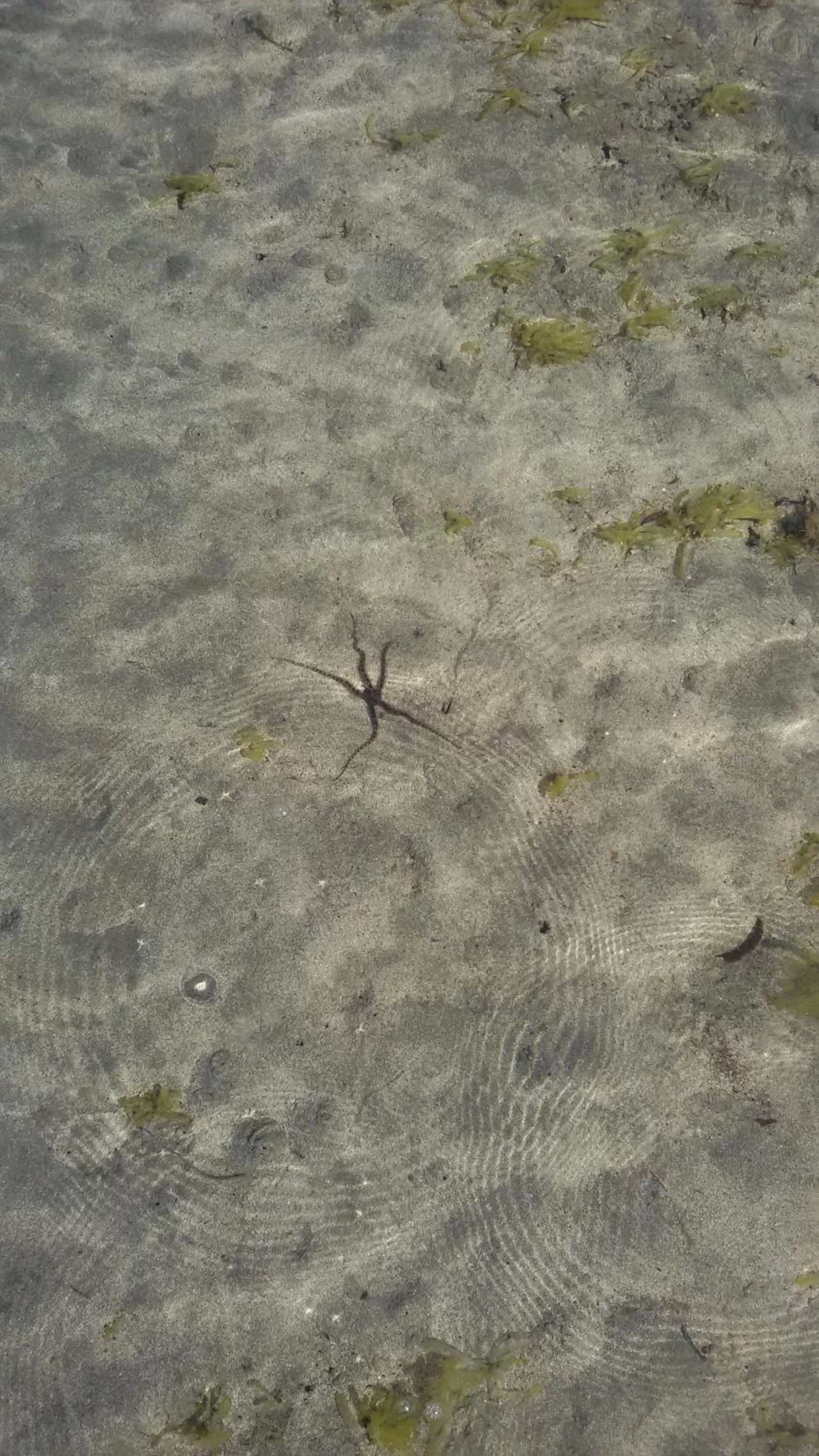 Beach in Bahari Pori Resort