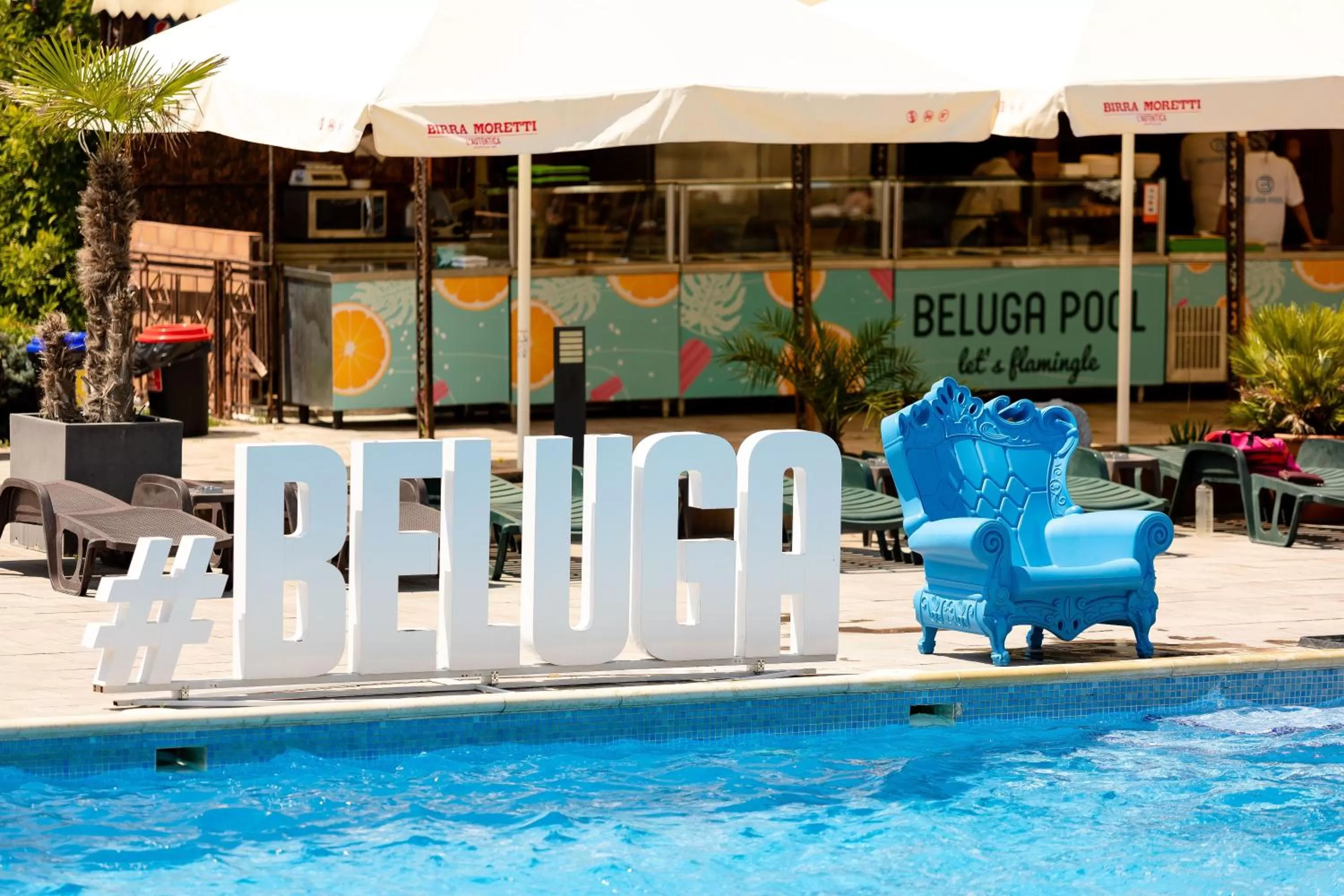 Swimming pool in Hotel Terra Balneo