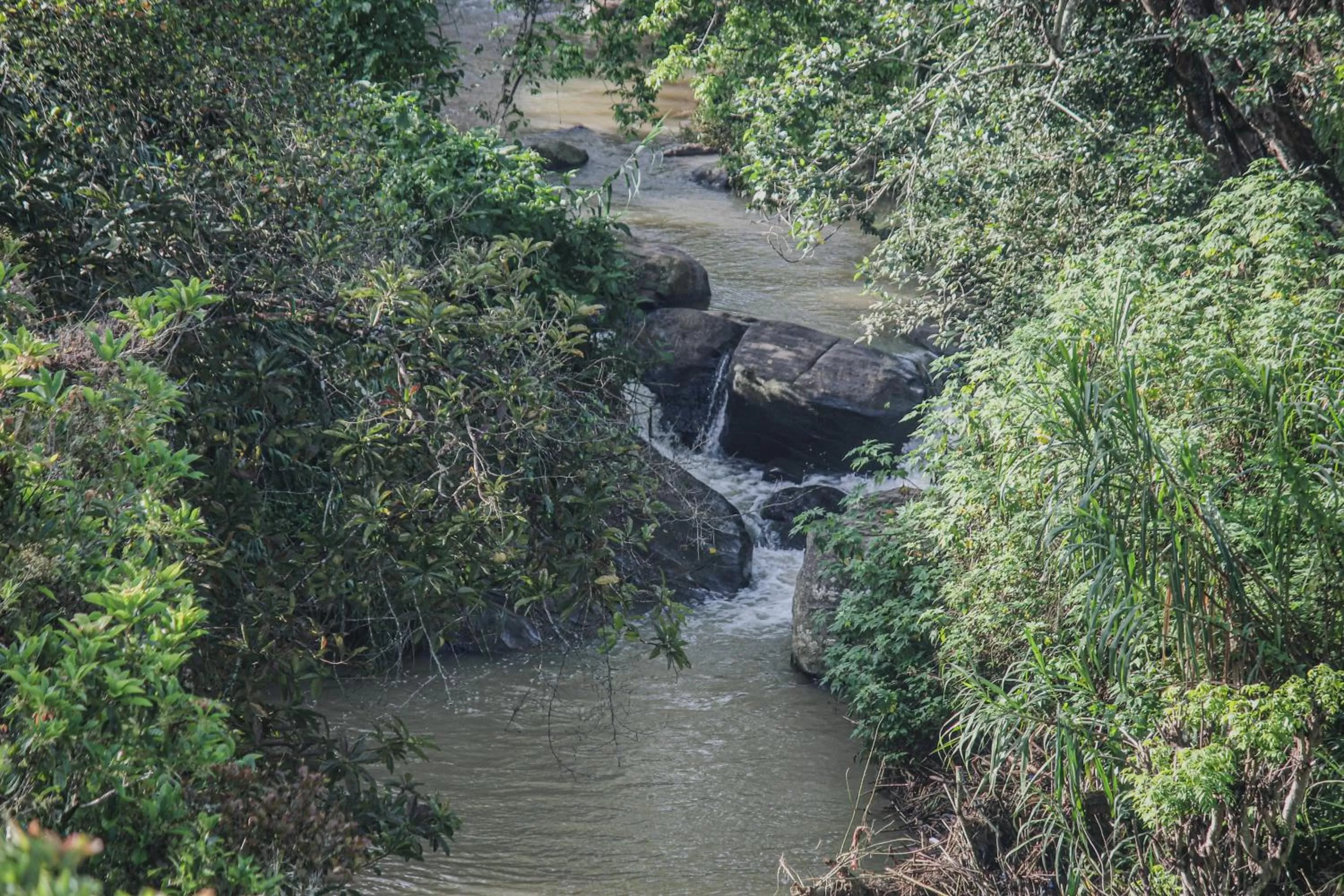 Natural landscape in Hotel Levon Ella