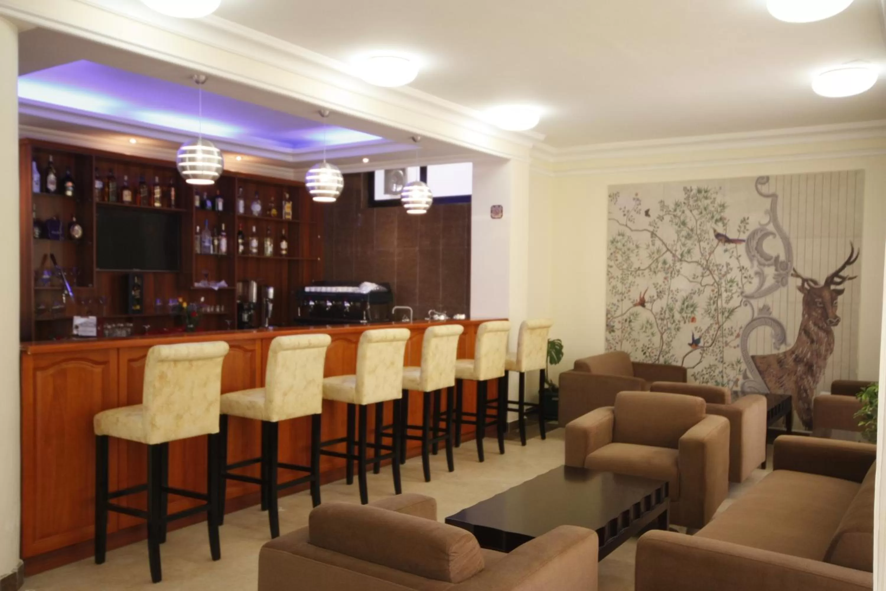 caravan Hotel Addis