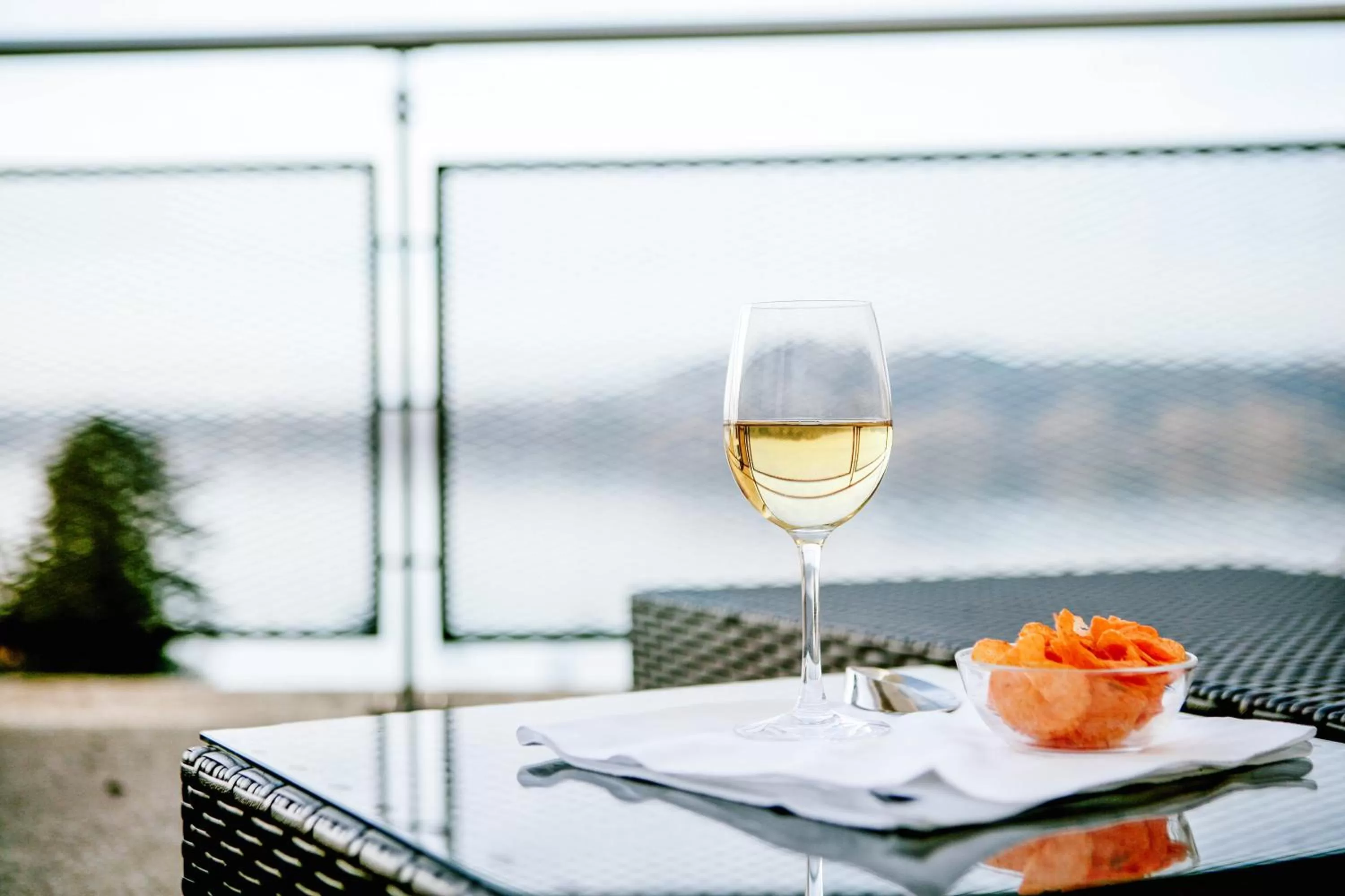 Balcony/Terrace in Hotel Murtenhof & Krone