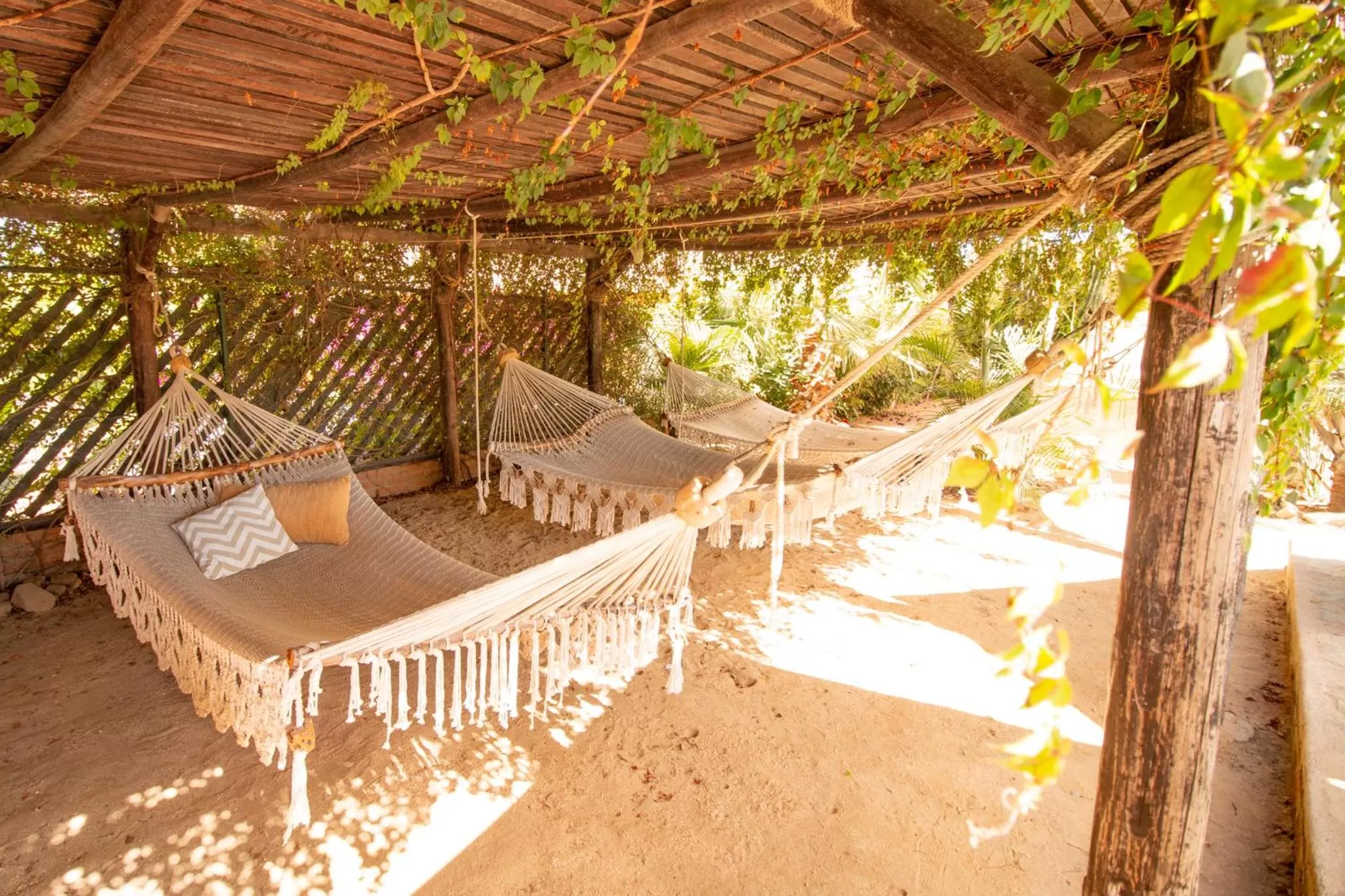 Garden in Olas de Cerritos