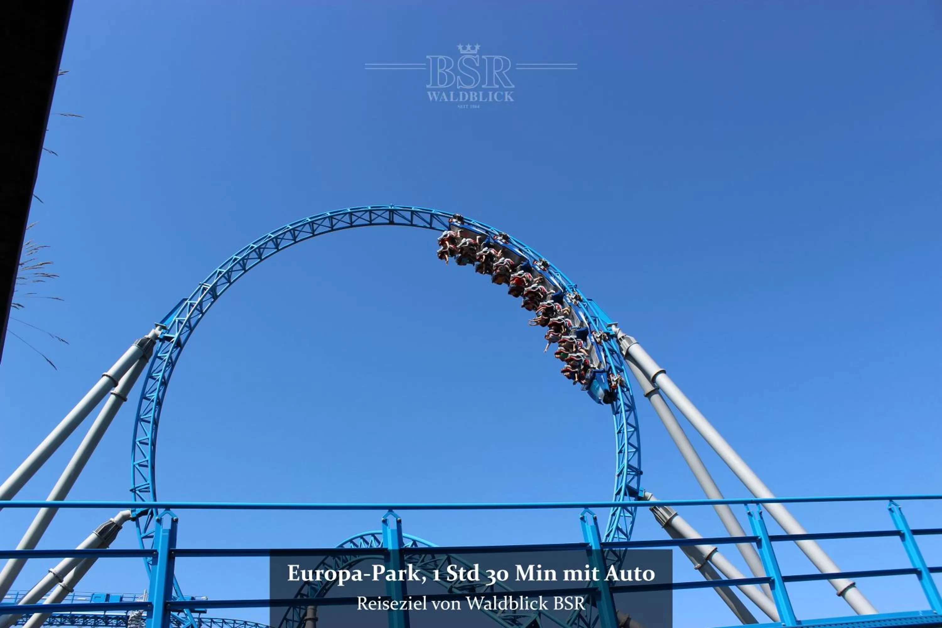 Neighbourhood in Hotel Waldblick