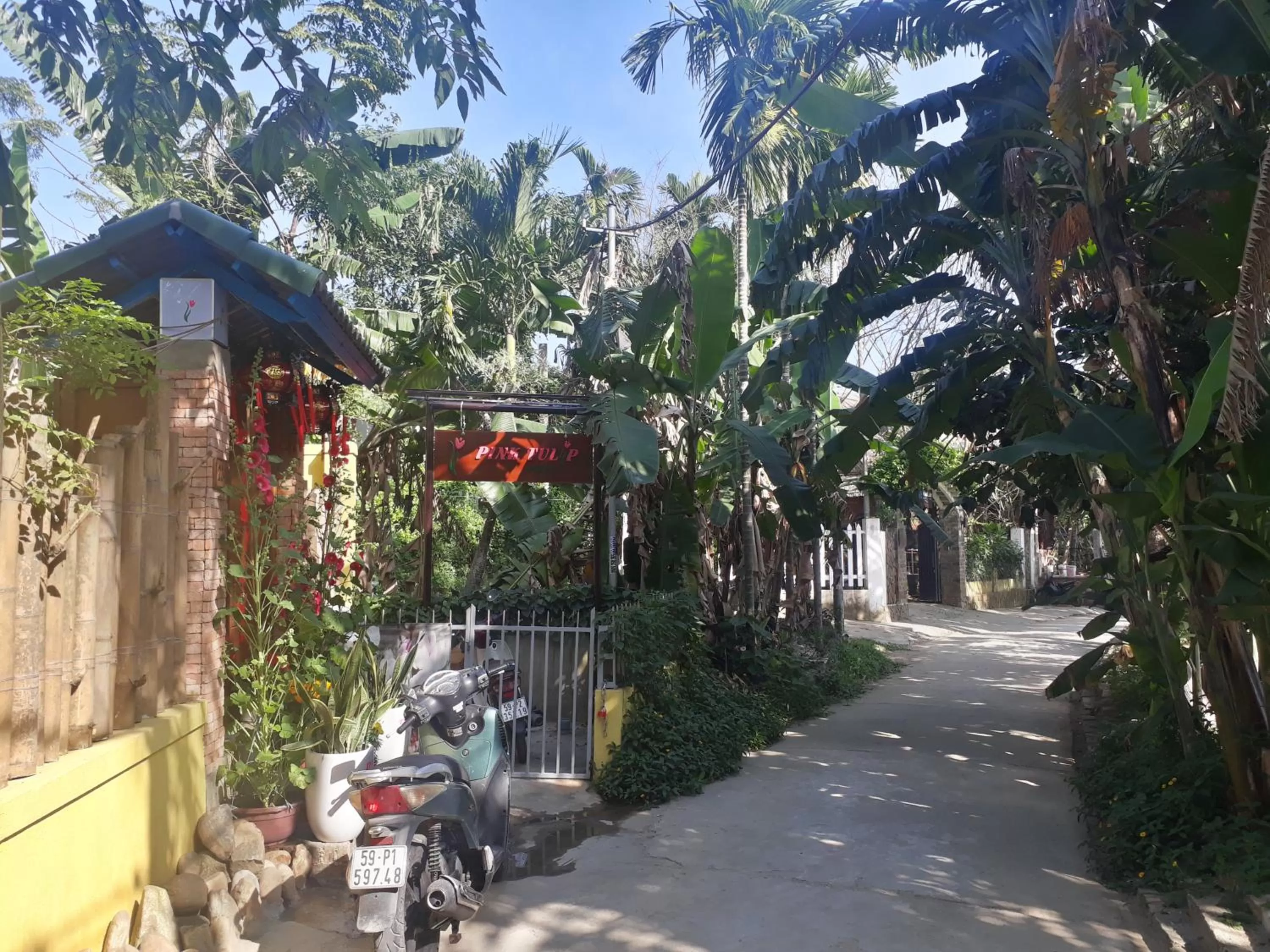 Neighbourhood in Pink Tulip Hoi An