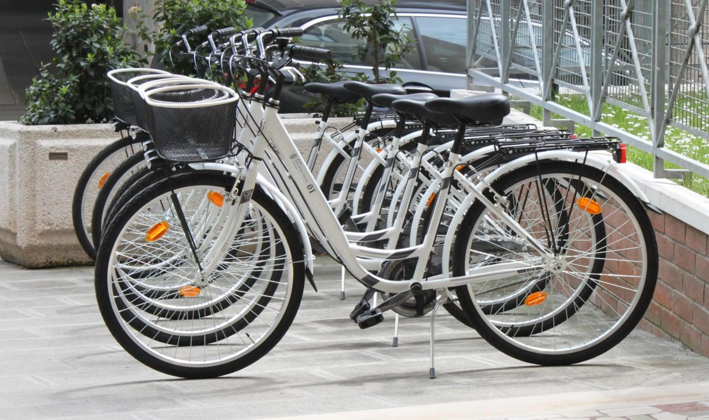 Cycling in Hotel Touring