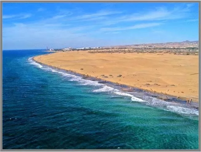 Area and facilities in Apartamentos Green Park