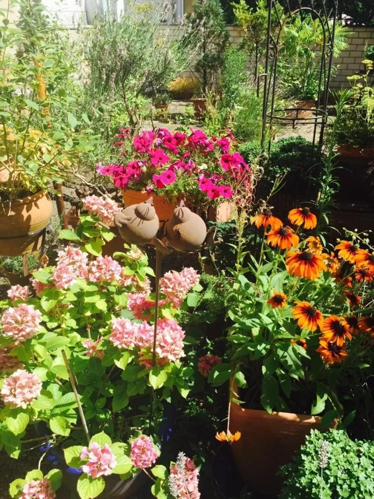 Balcony/Terrace in Hotel Cascade Superior