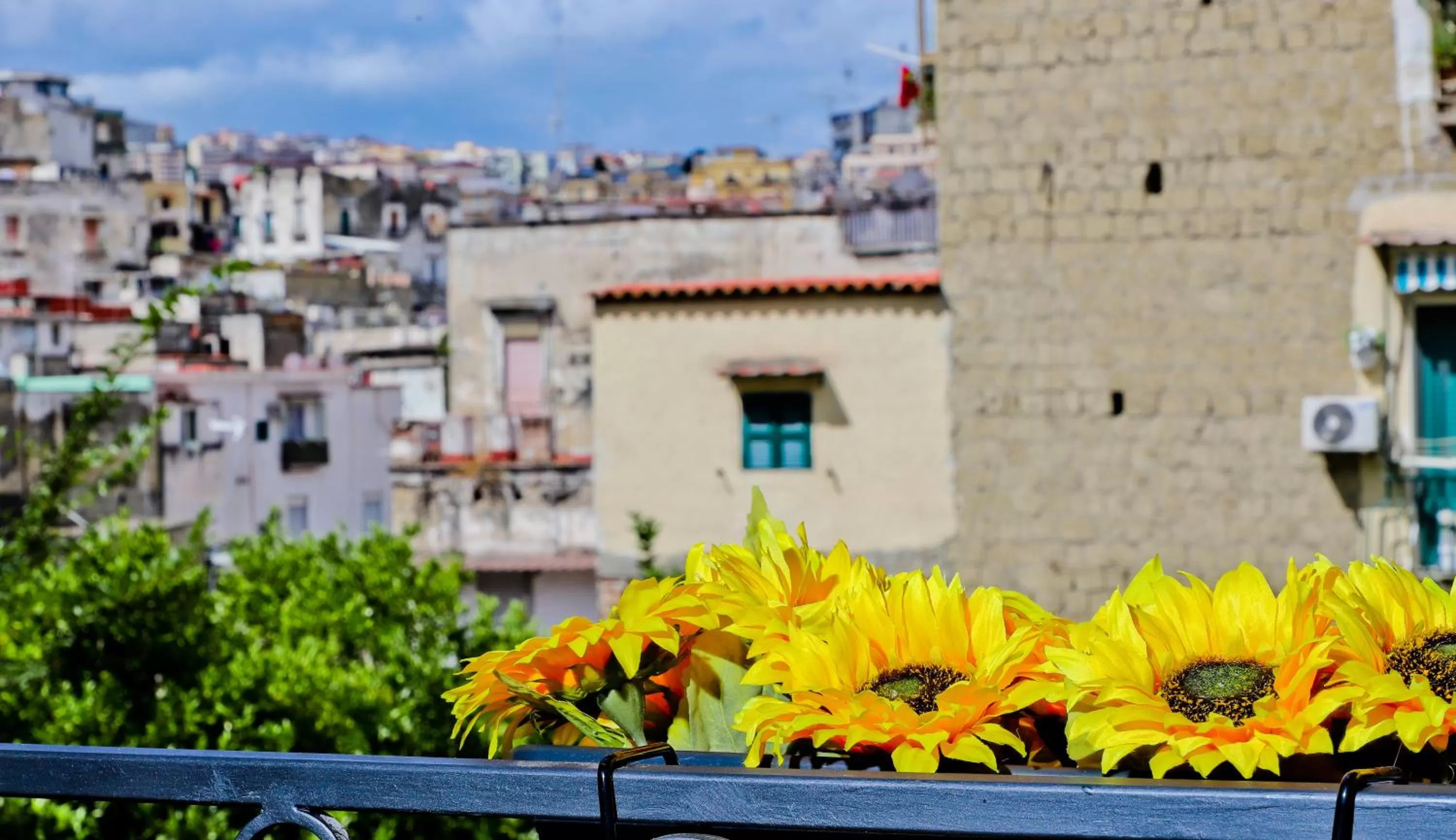 Day in Terra Mia Savoia B&B